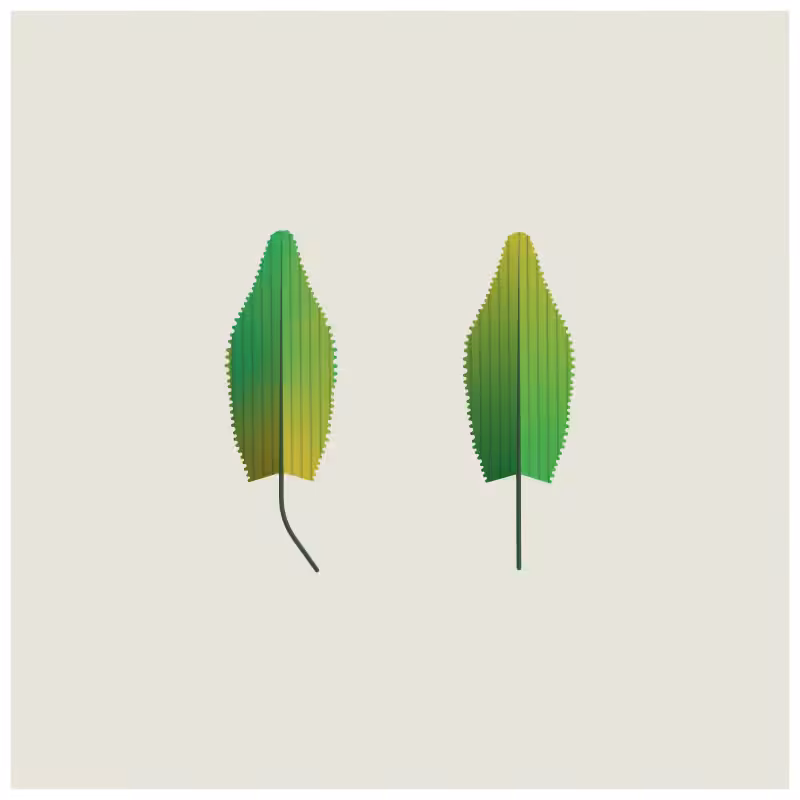 Leaves #2