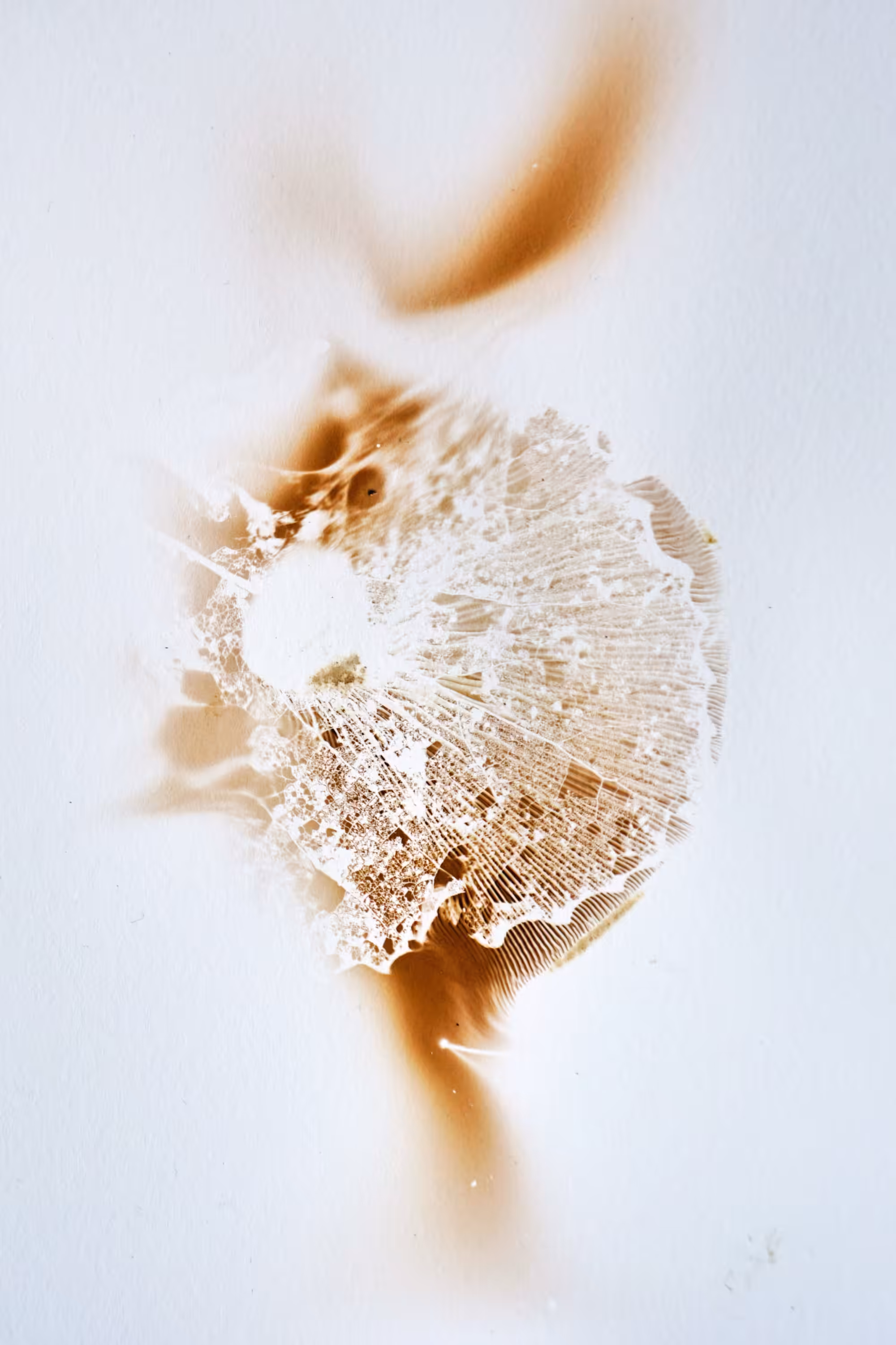 Fingerprint 09