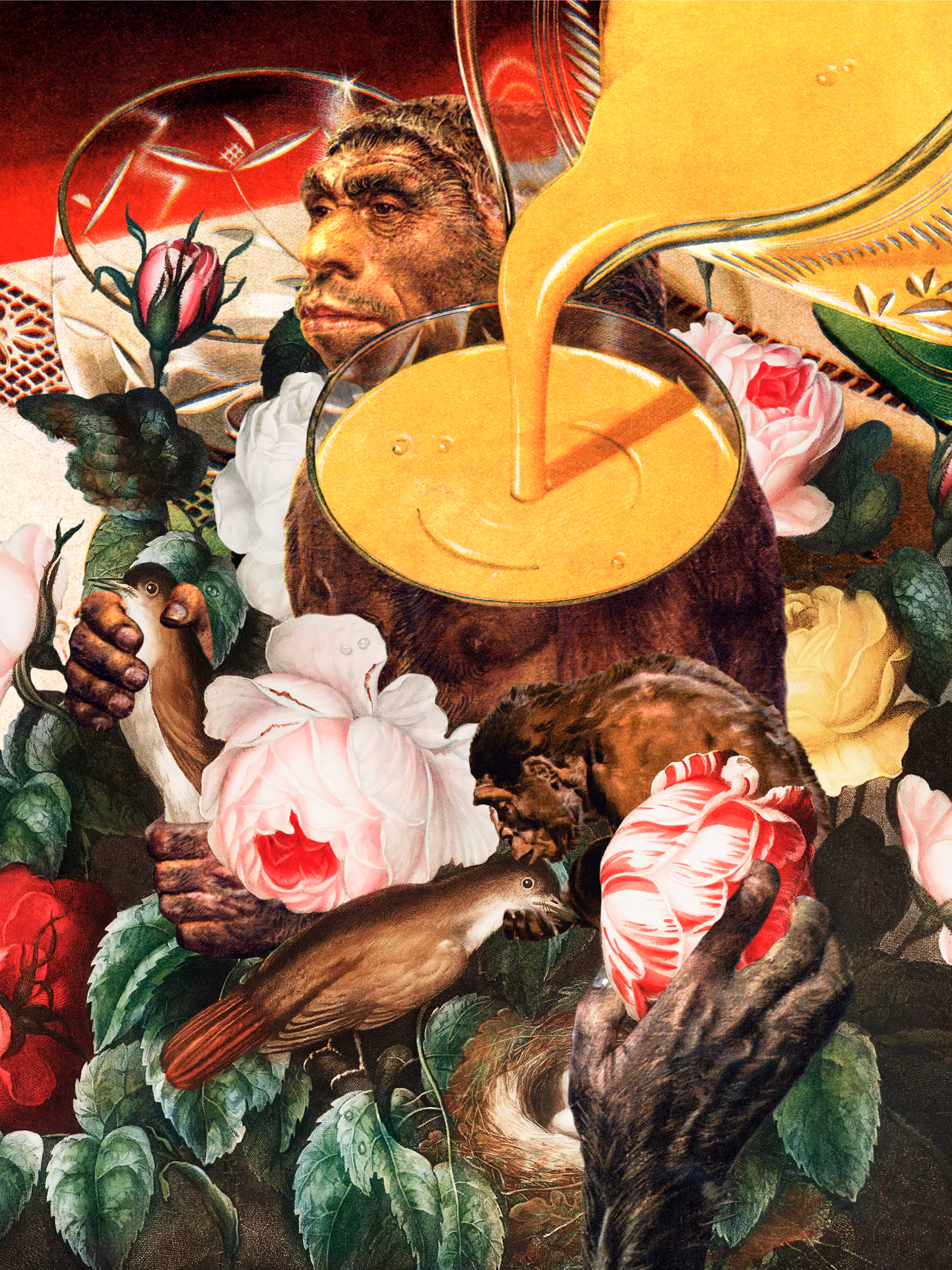 Brra, ta, ta, tat: primitive pleasure