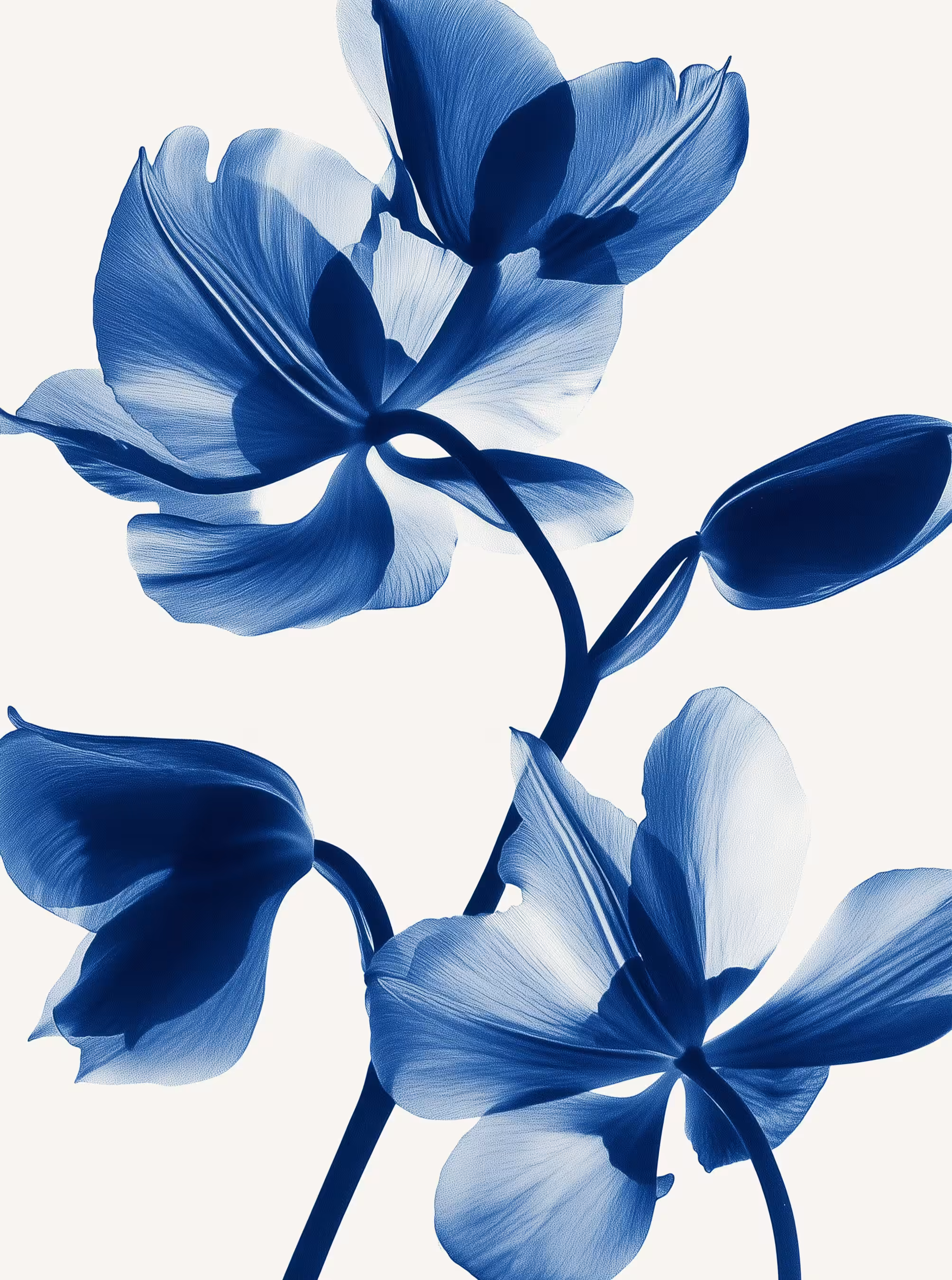neural petals