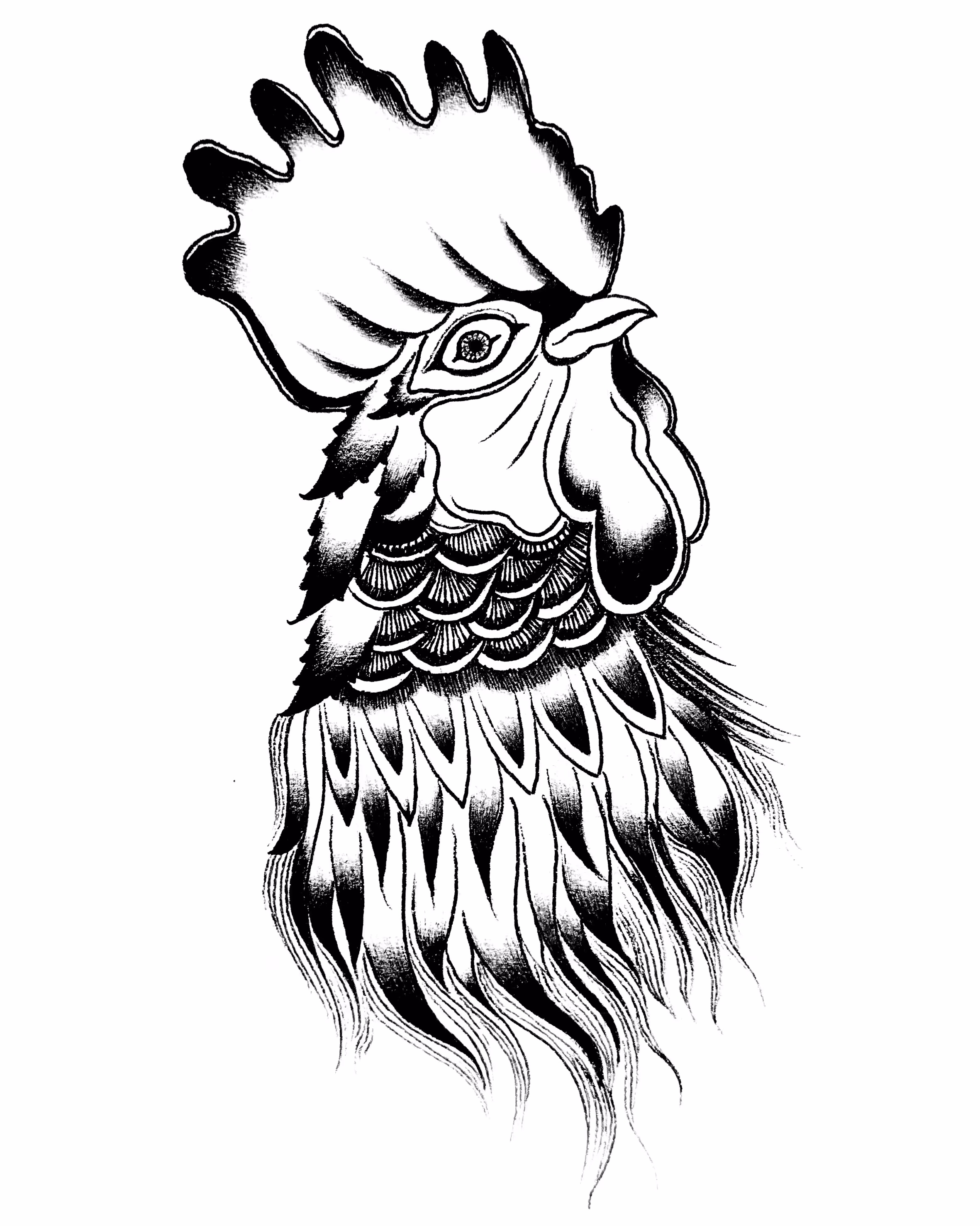 幸运公鸡八号 (Lucky Rooster #eight8)