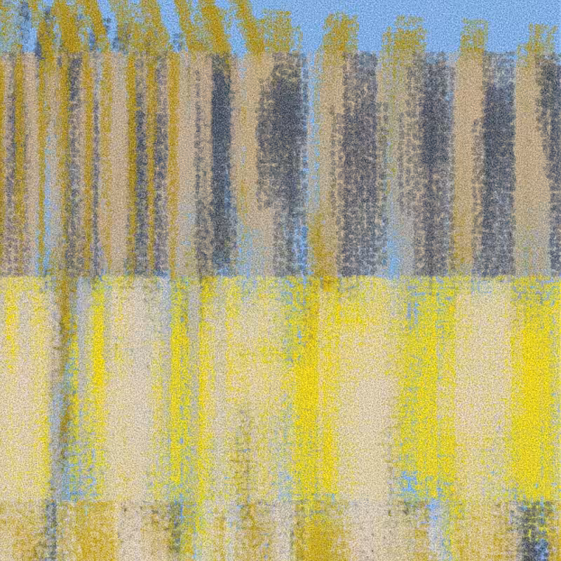 Urban Disorderly #250
