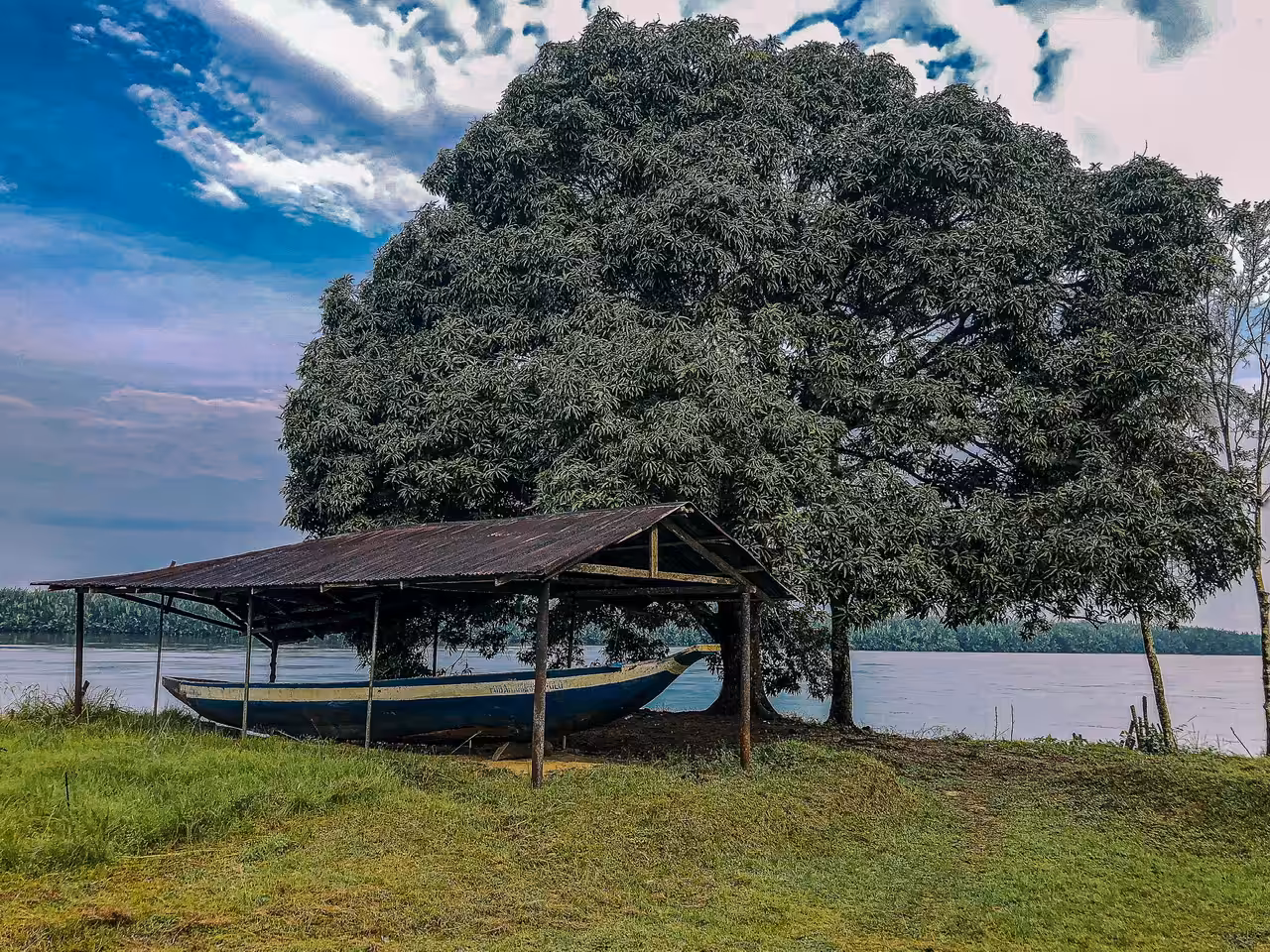 Aruwari (BoatShed)