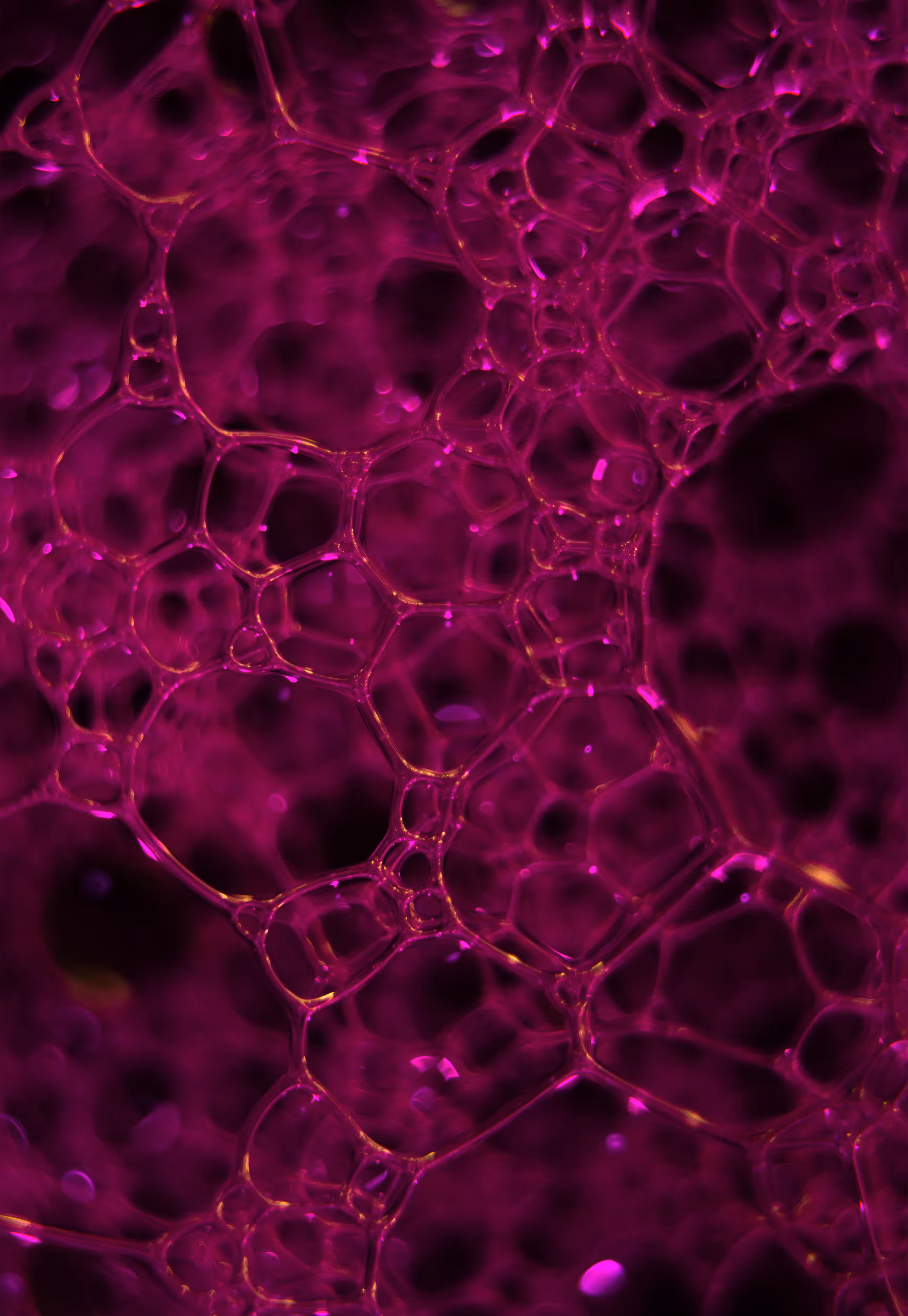 #180 Bubbles