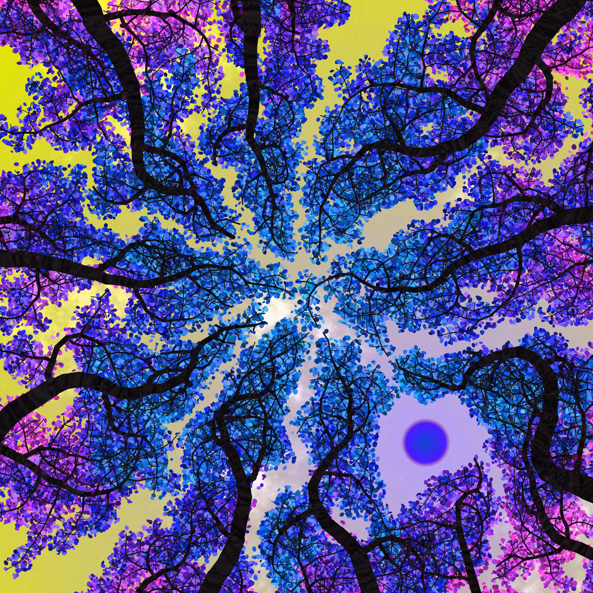 Tree Skyness #67