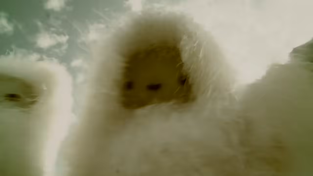 The Missing Link - Fuzzy Frolic