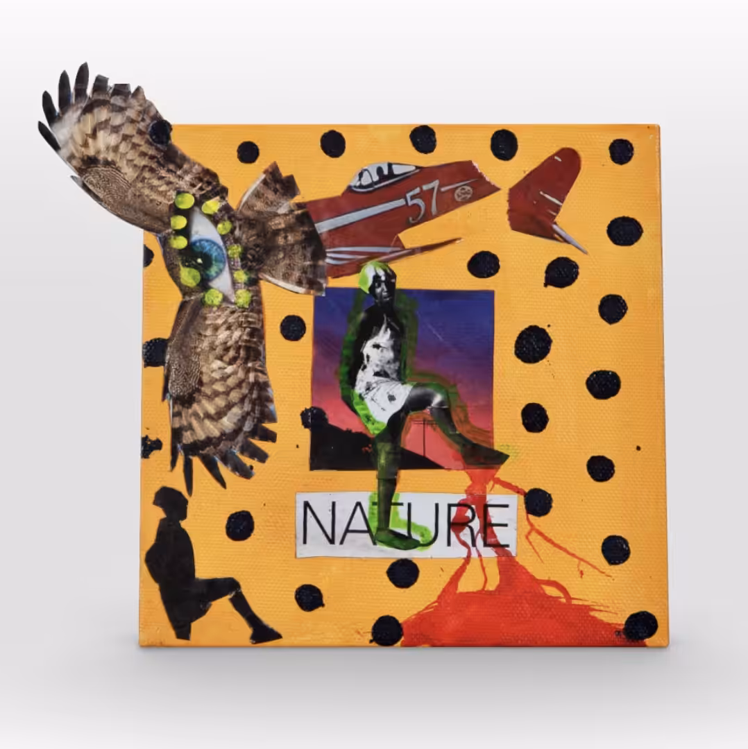 Cognition #10. Nature