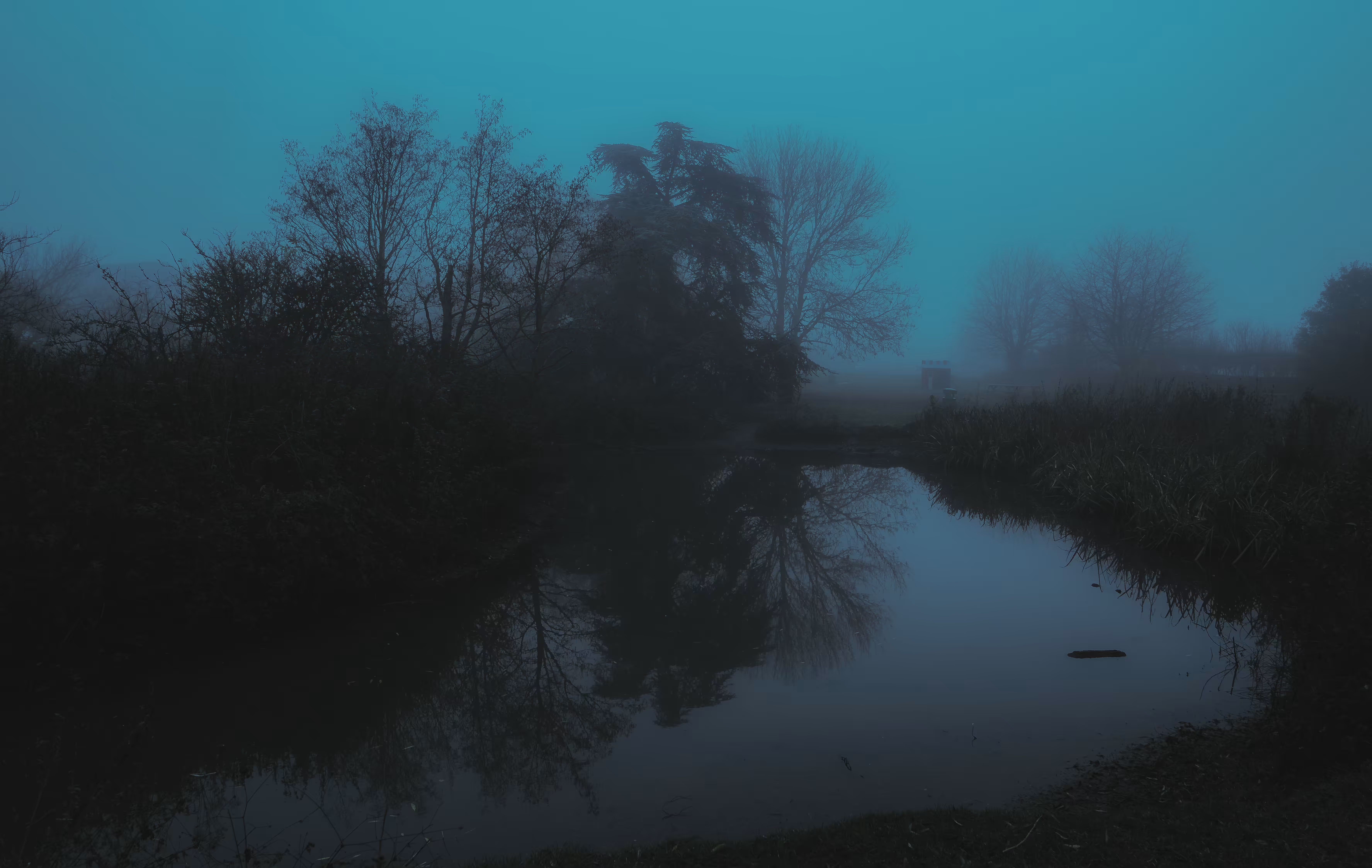 Blue in the AM