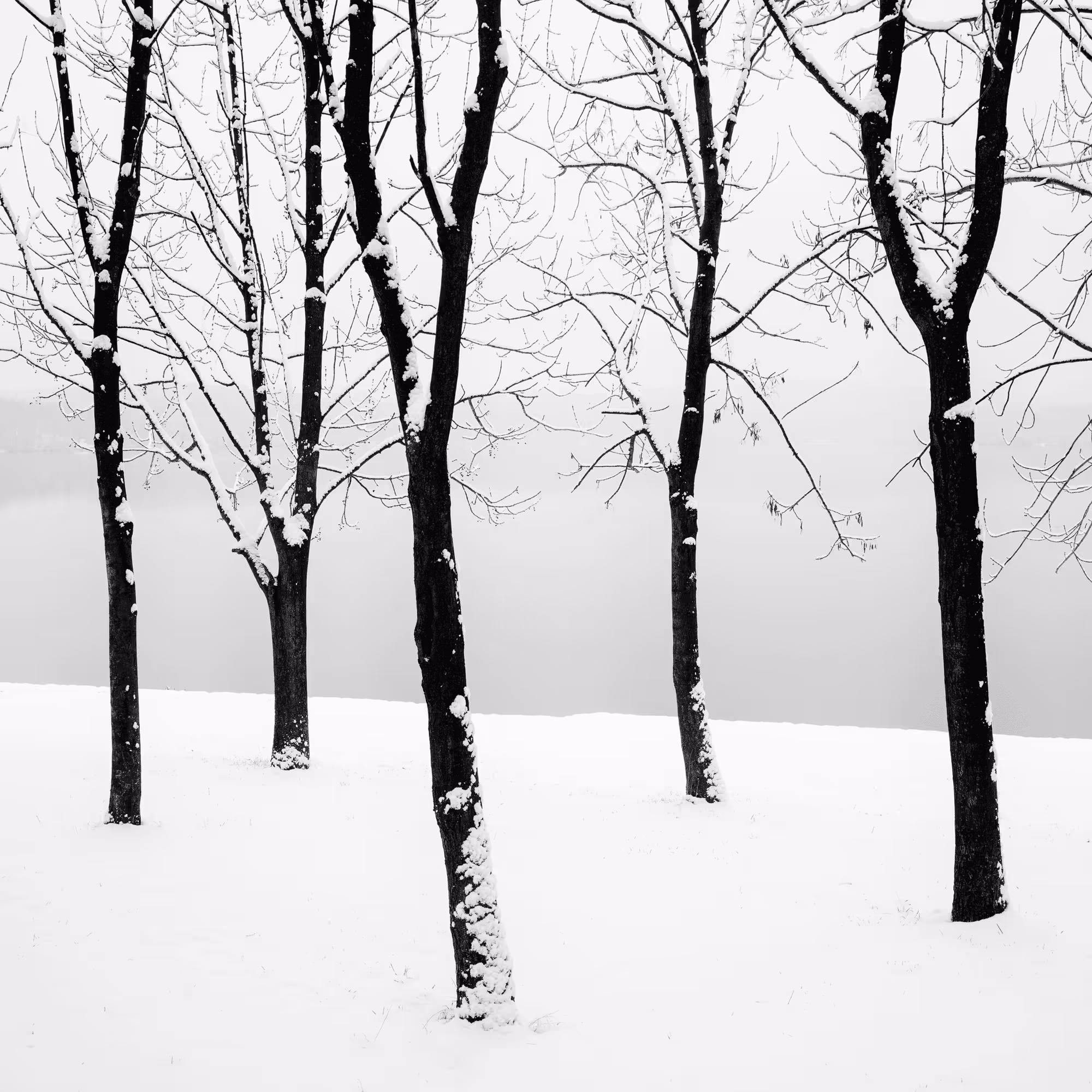 Sound of Silence #17