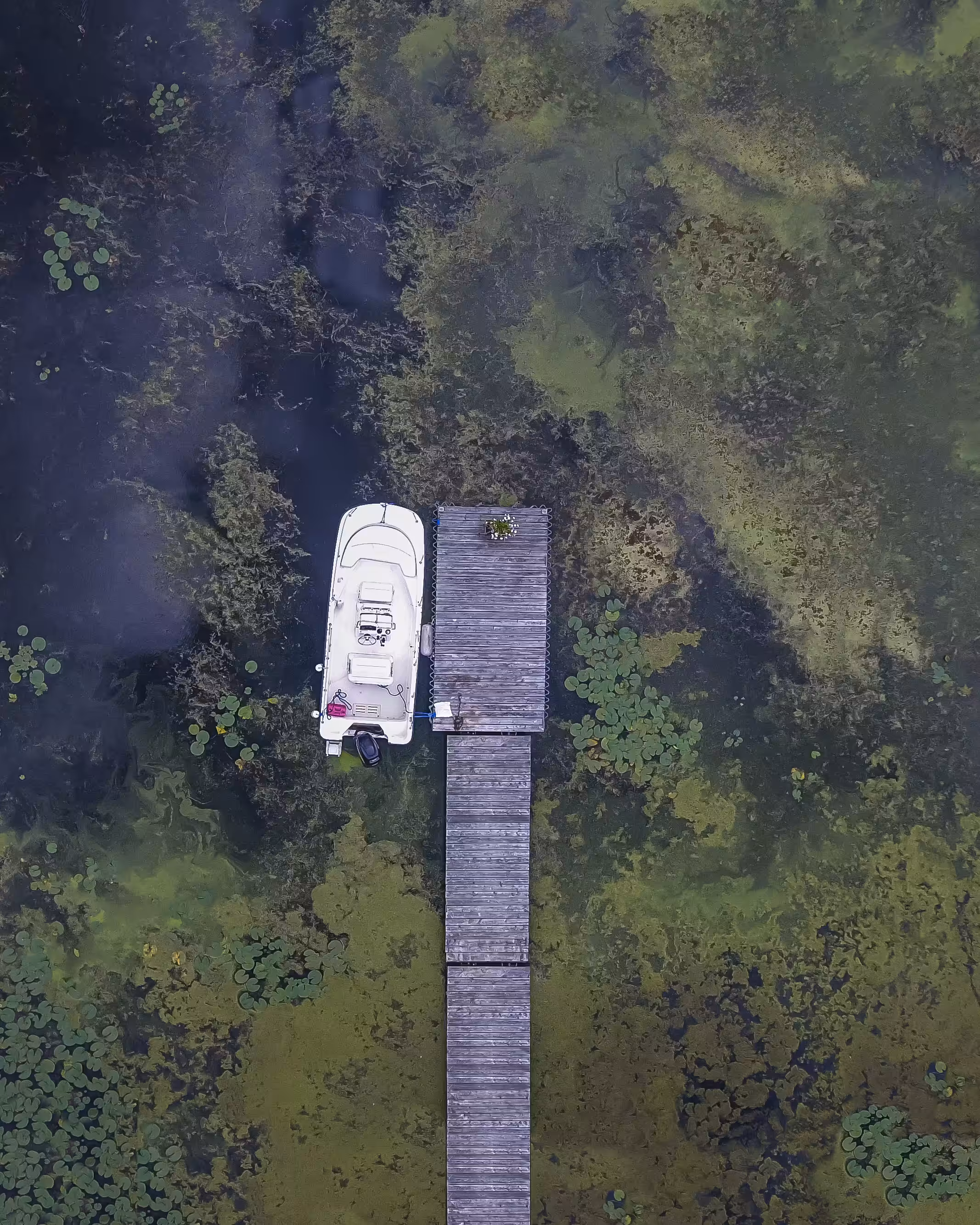 Boats Boats Boats #17