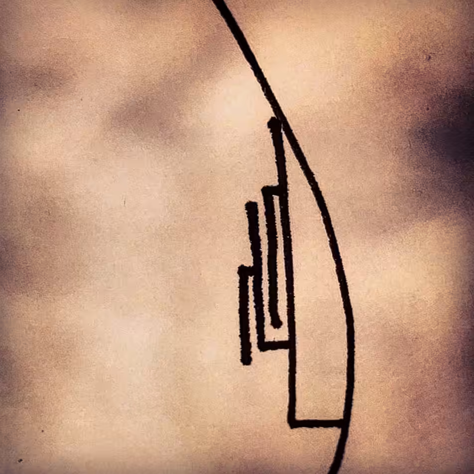 81