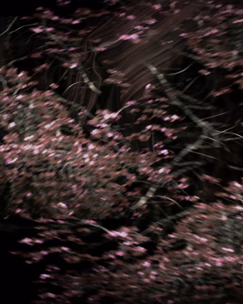 _recovered