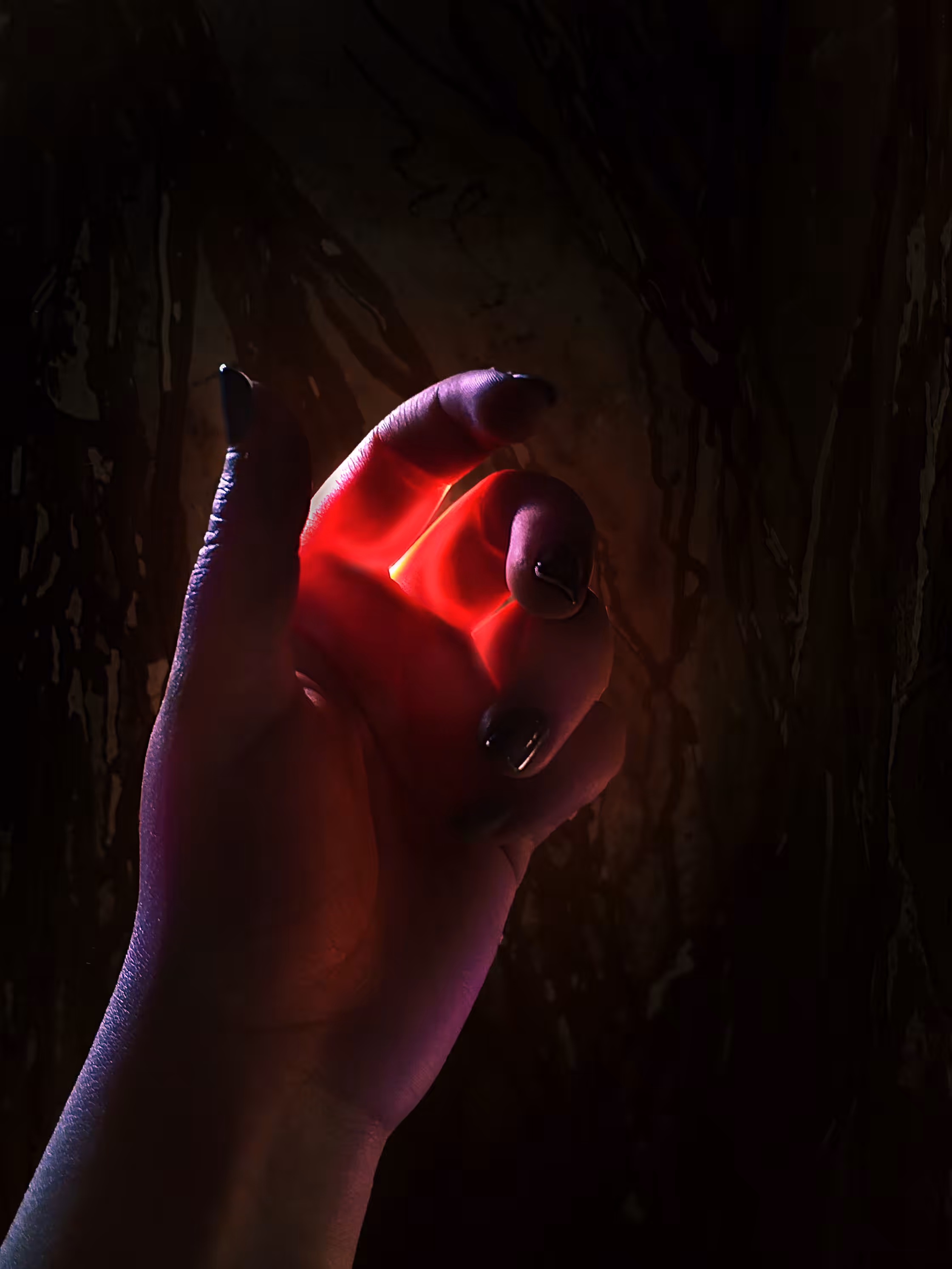 Bloody Hands