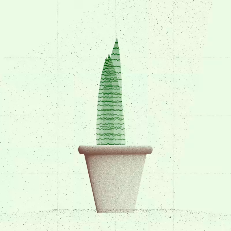 🌱 Potted & Printed #496