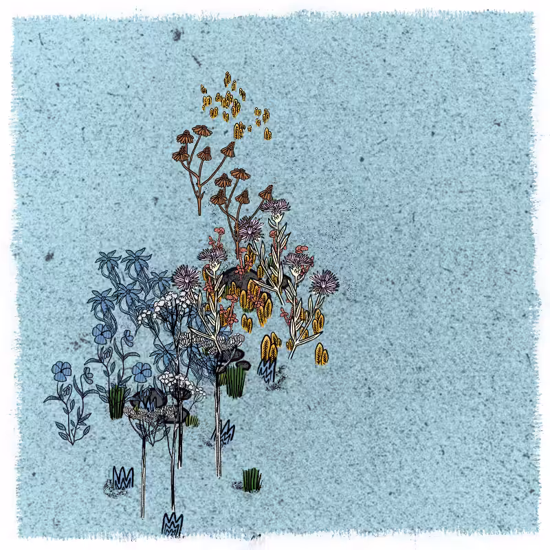 Gardens  #115