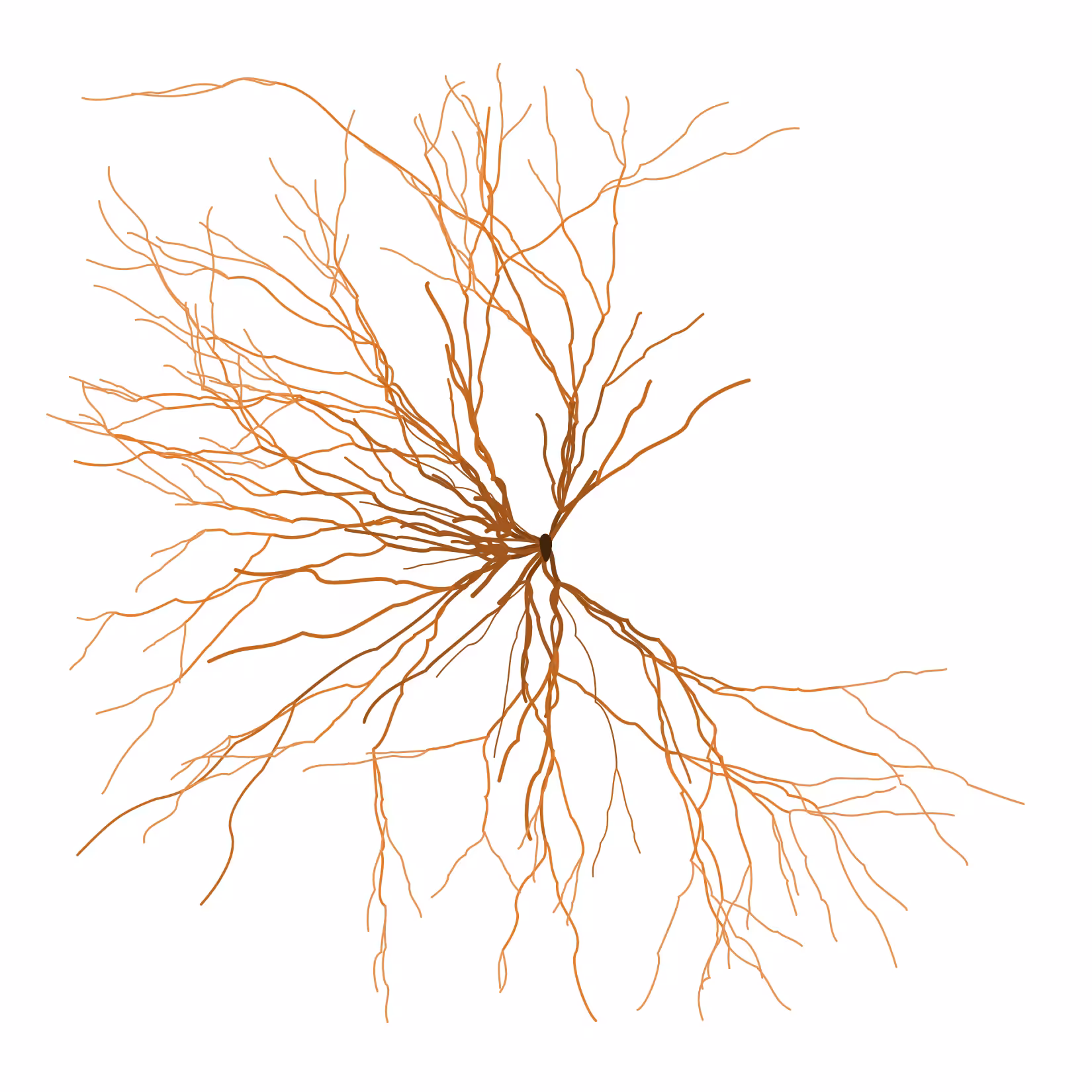 Ghost Forest Seedling #5