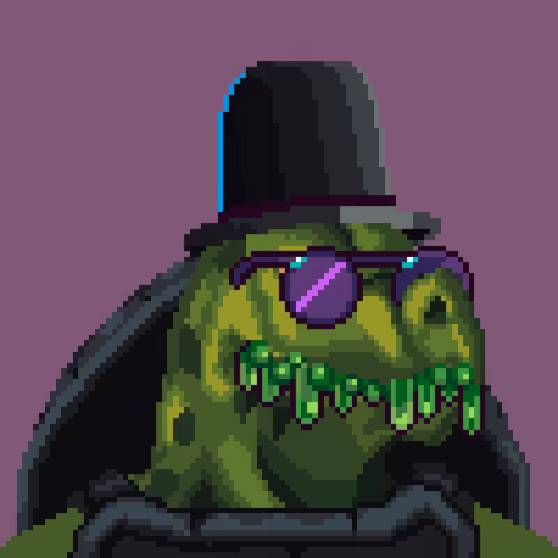 Turtles #51