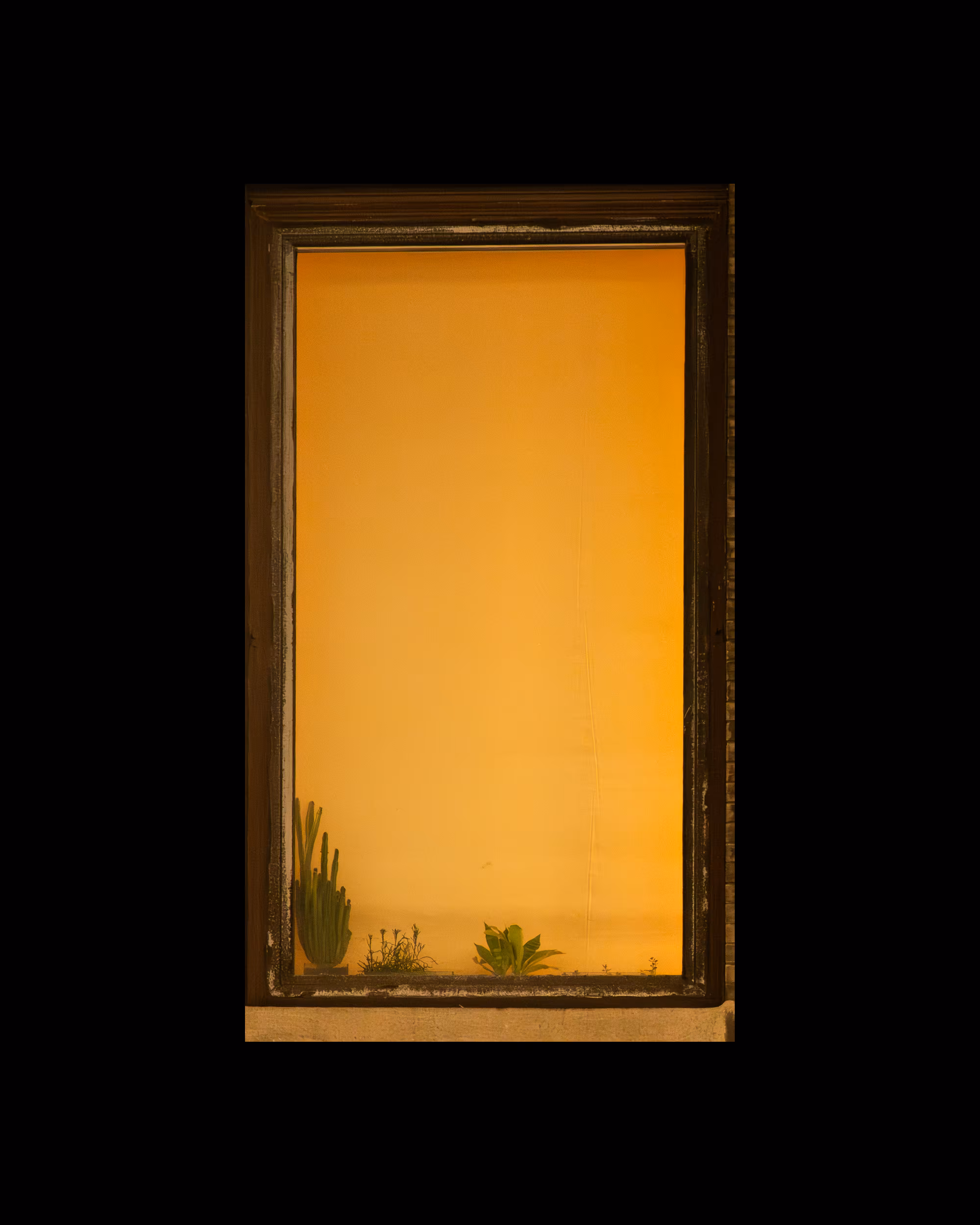 WINDOW 498