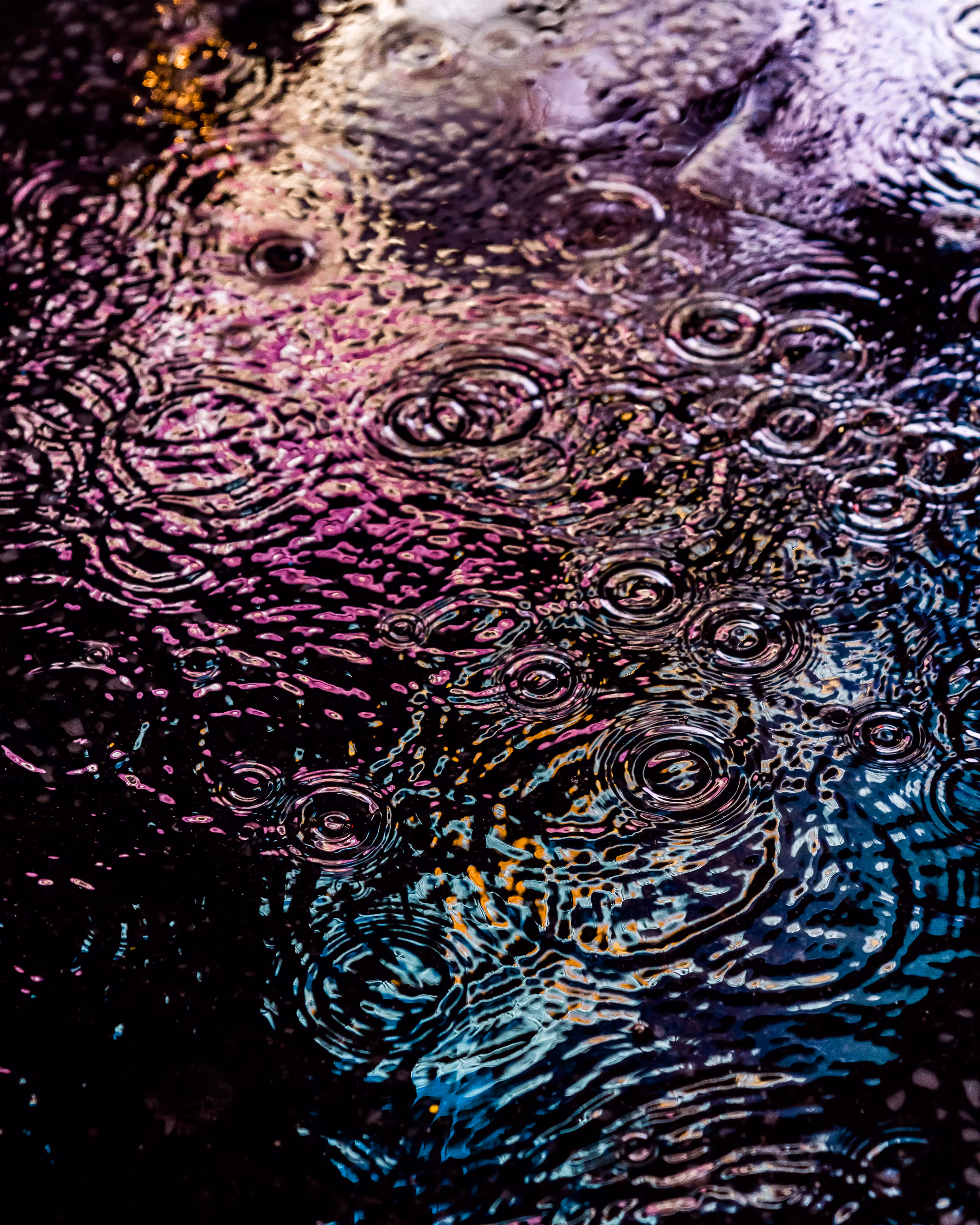 DRIP DROP: DRIP #82
