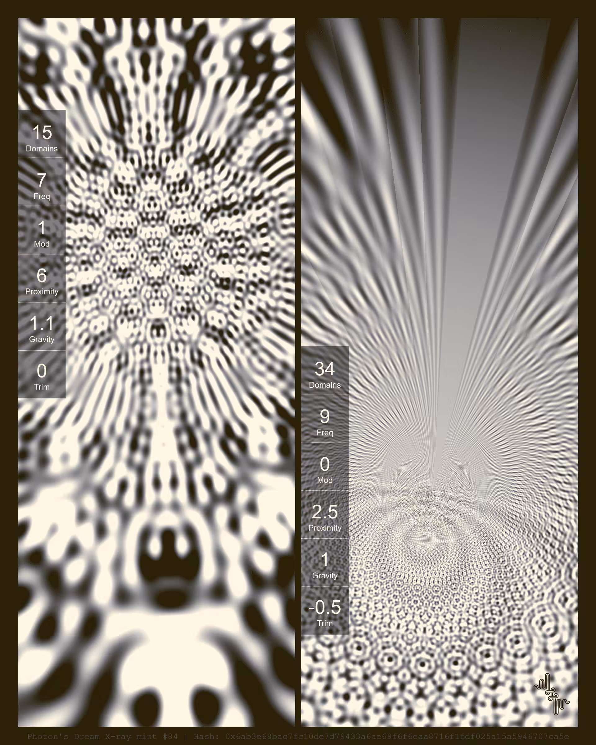 Photon's Dream X-rays by Harvey Rayner: Photon's Dream X-ray mint#84