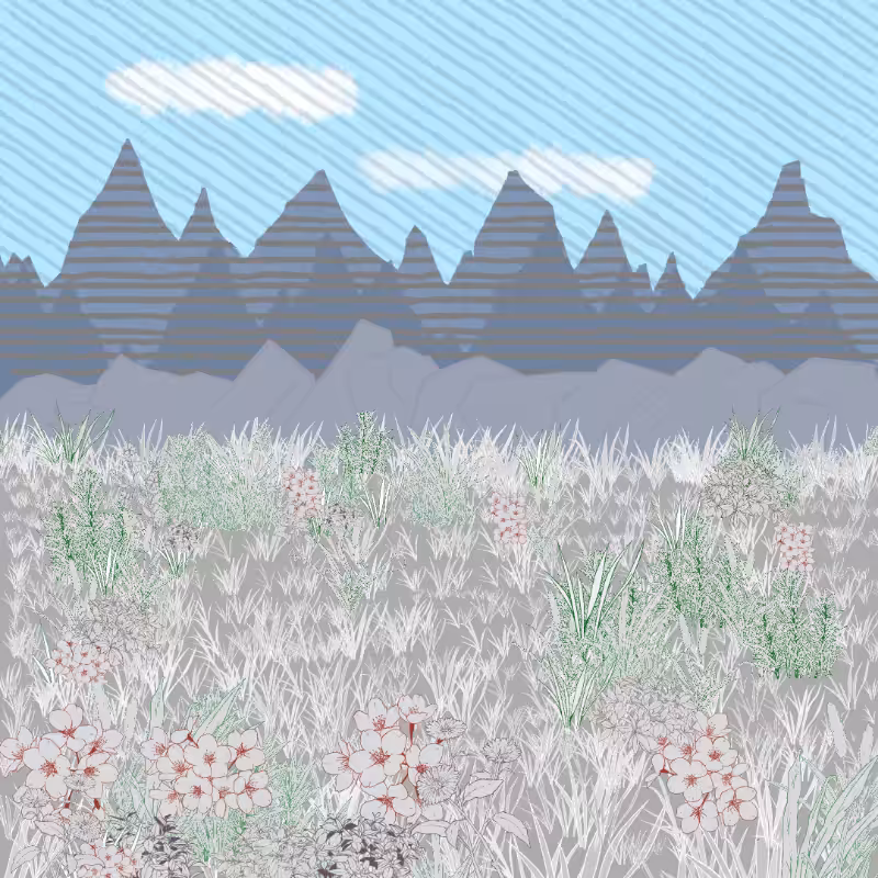 Mountain Meadows #73
