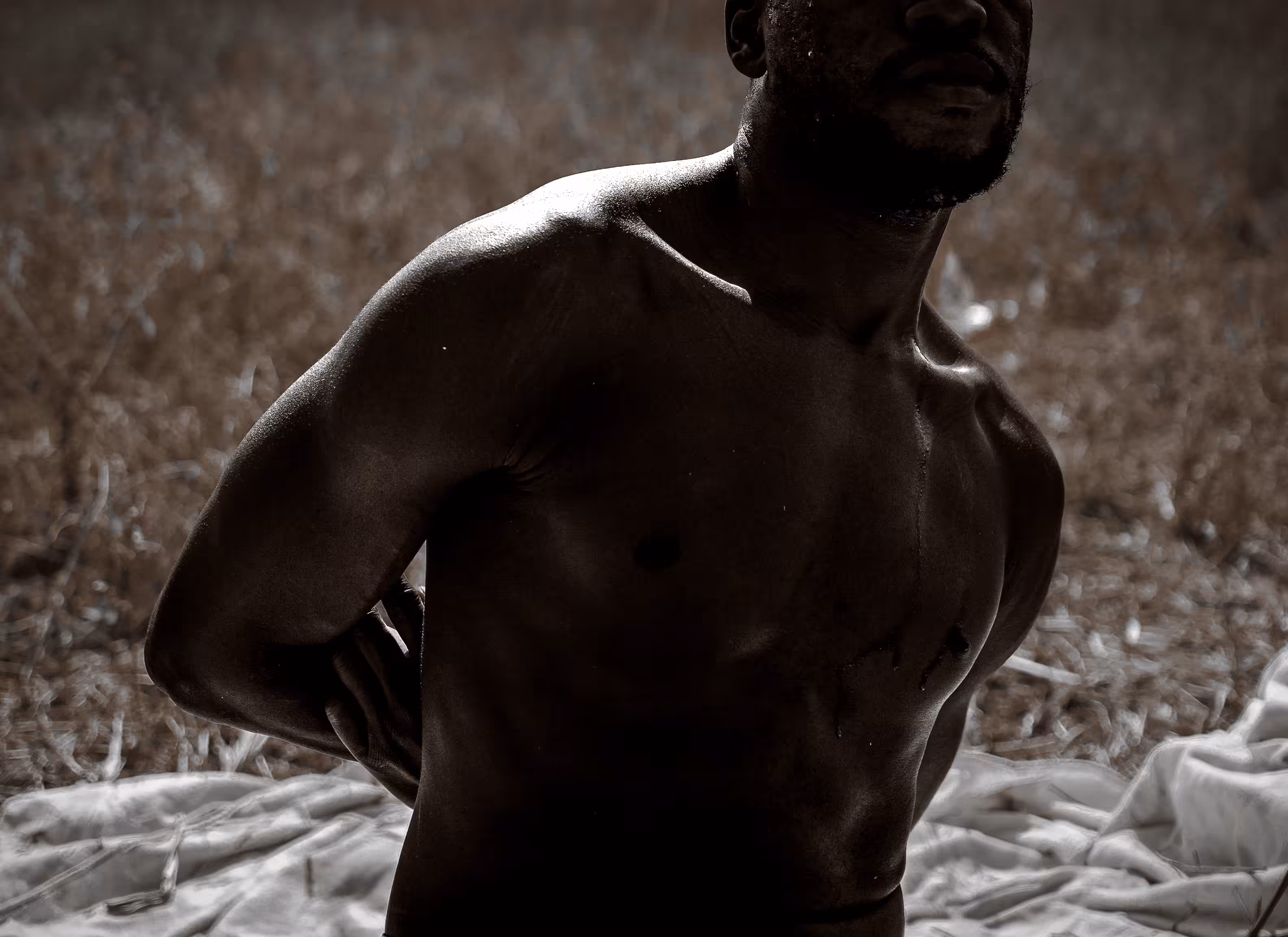 tenor