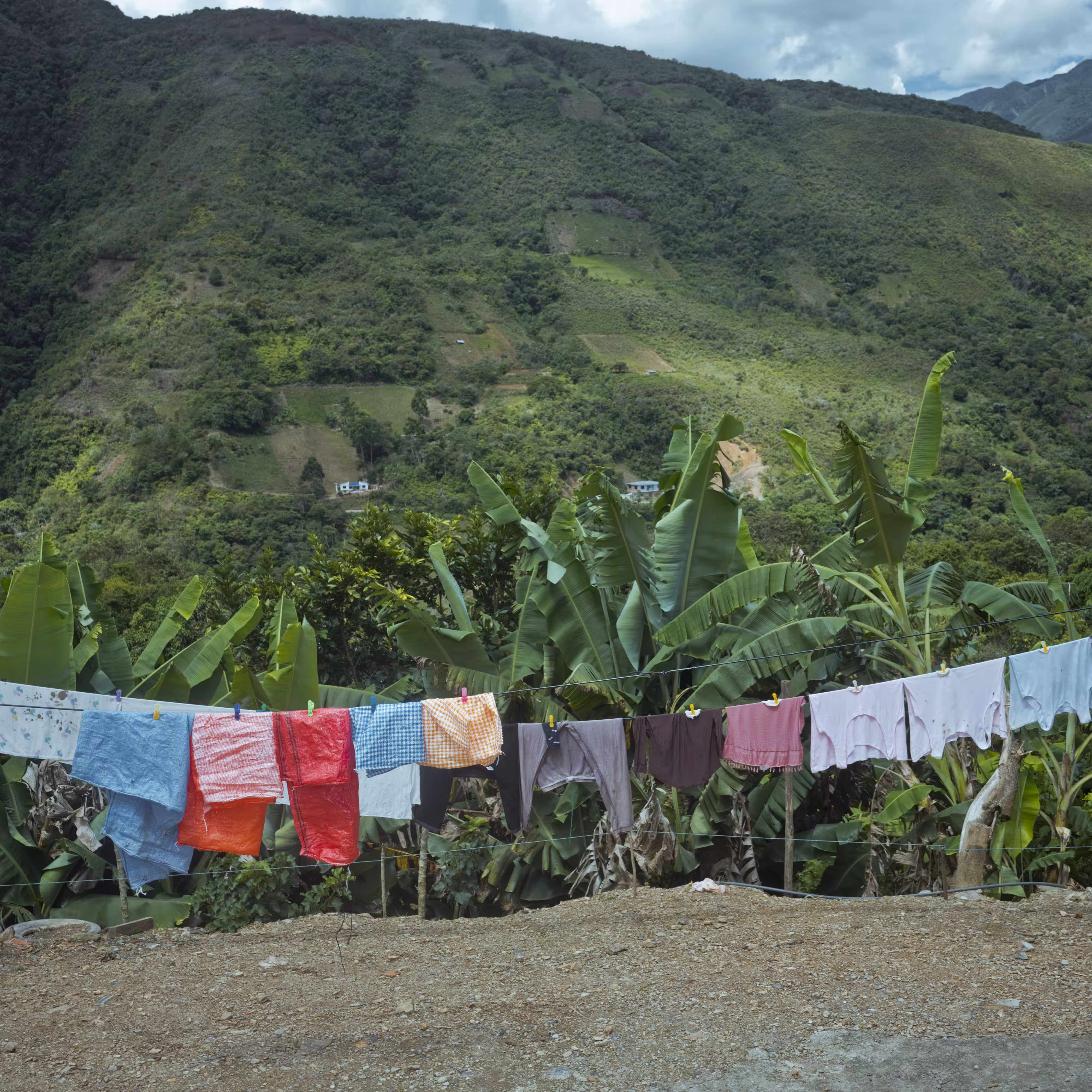 The Royal Pinedo #39 by Cristina de Middel