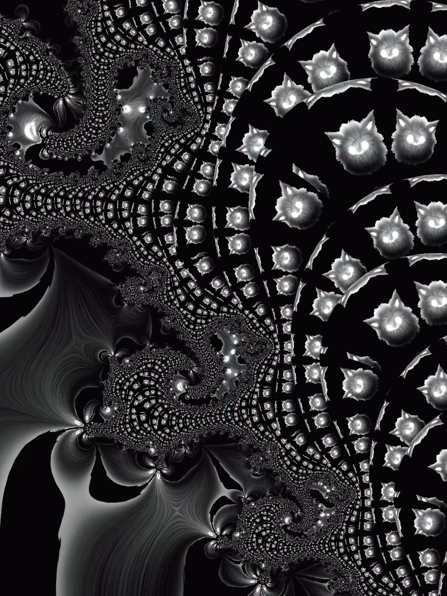 Flying Space Cat in the Fractalverse 