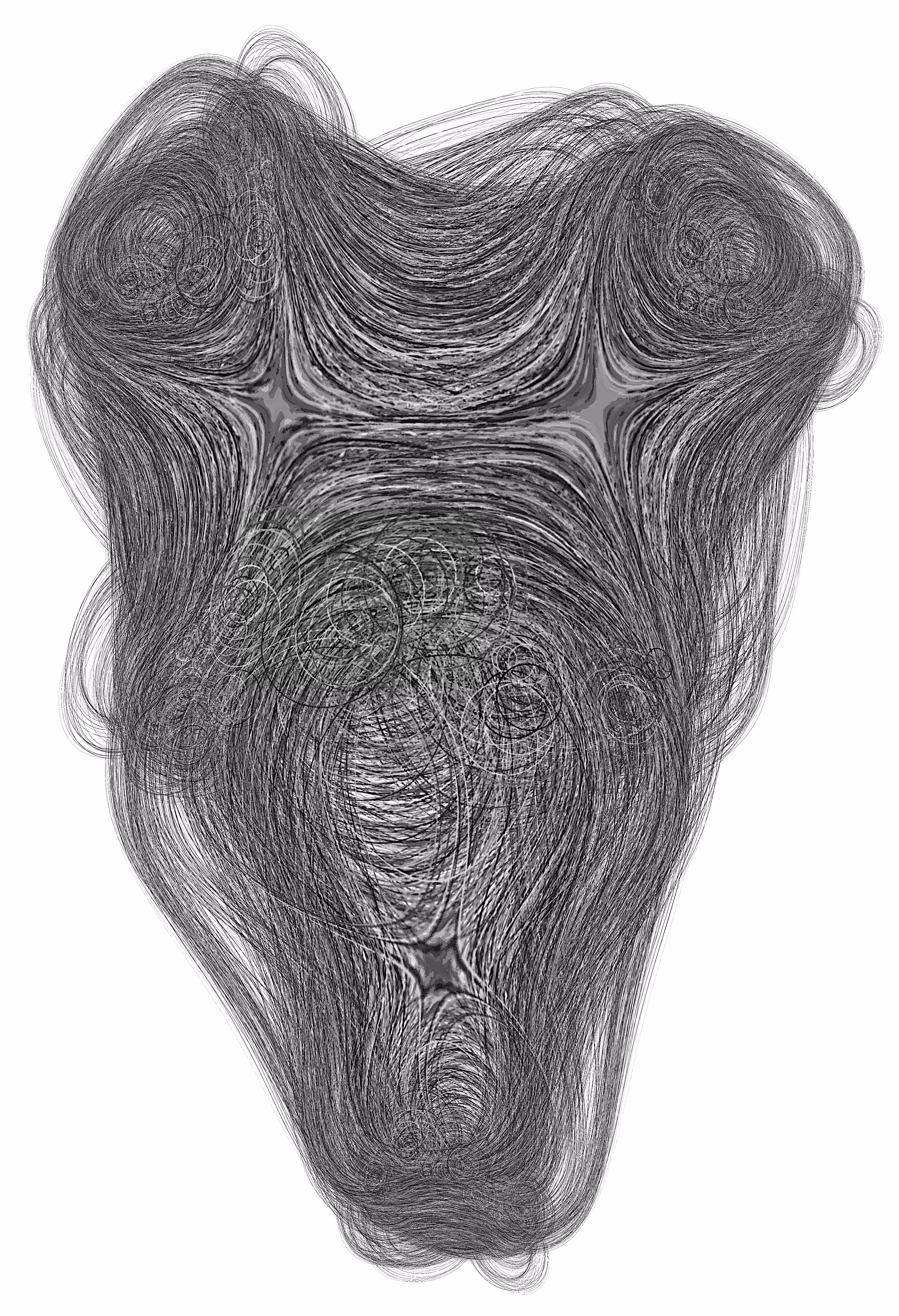 Horse Head