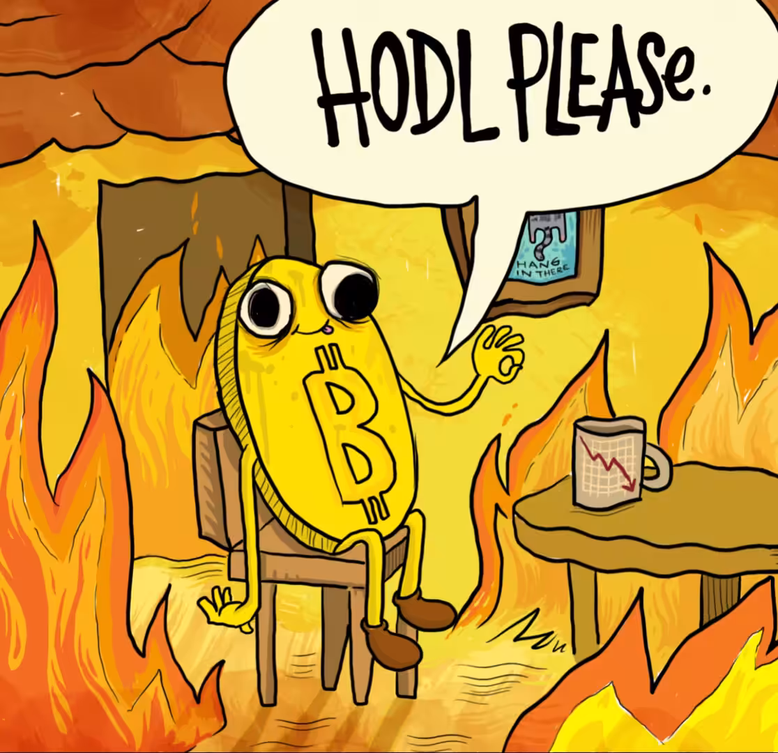 HODL Please