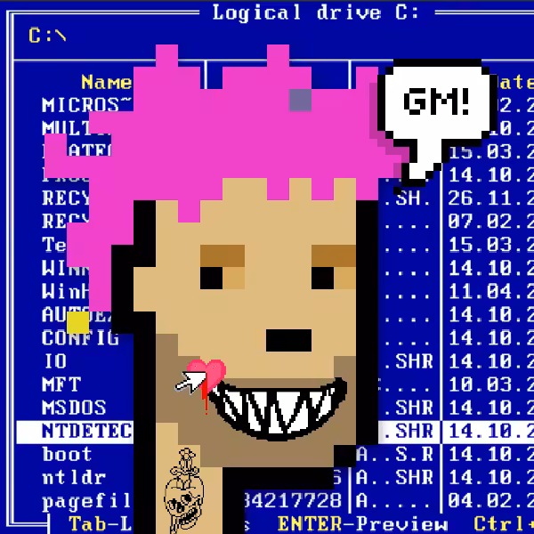 GM PUNK 017