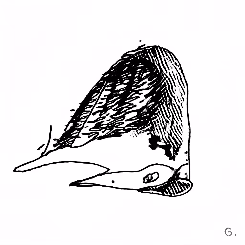 J48BAFORMS: J48BAFORM #4658