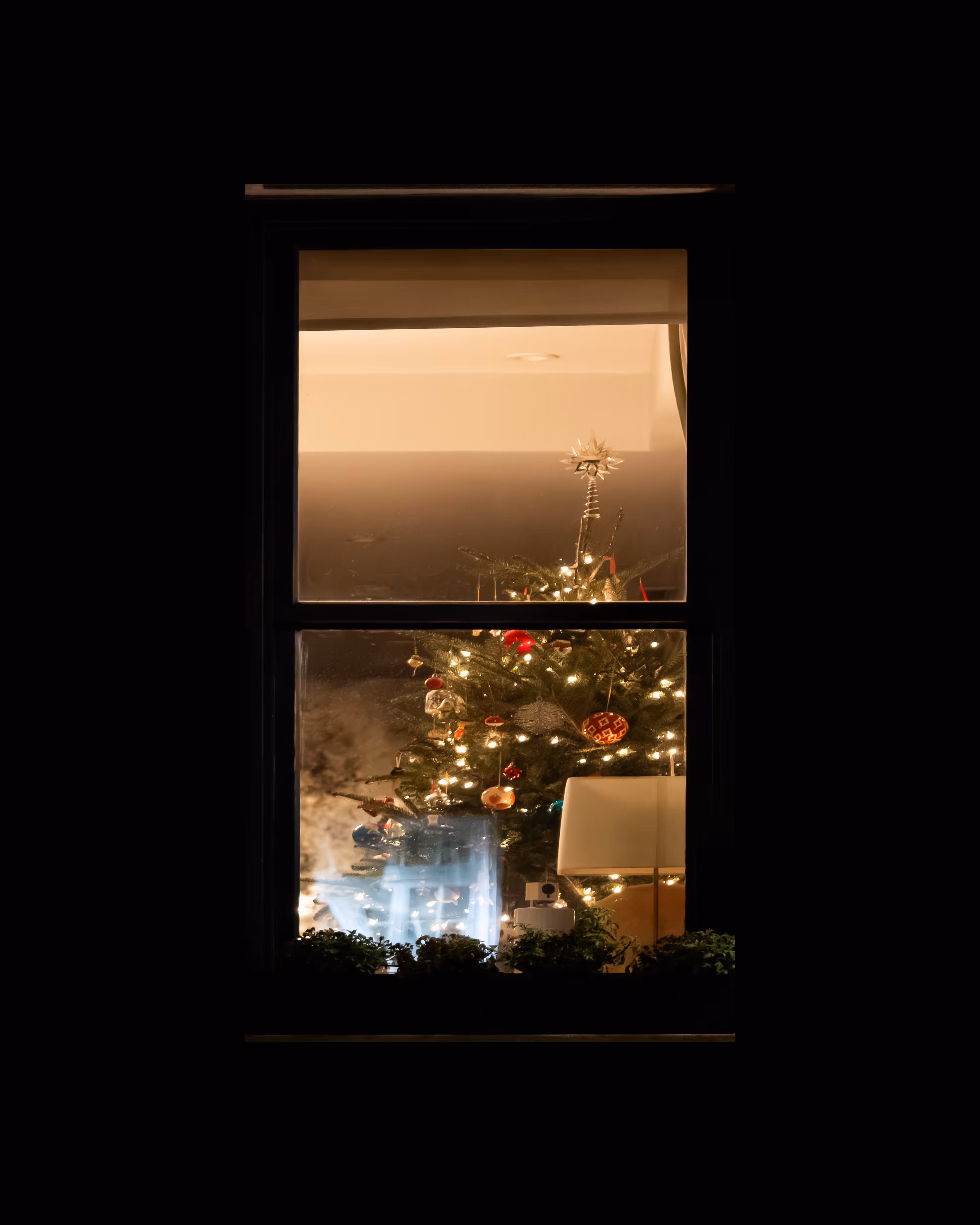 WINDOW 792