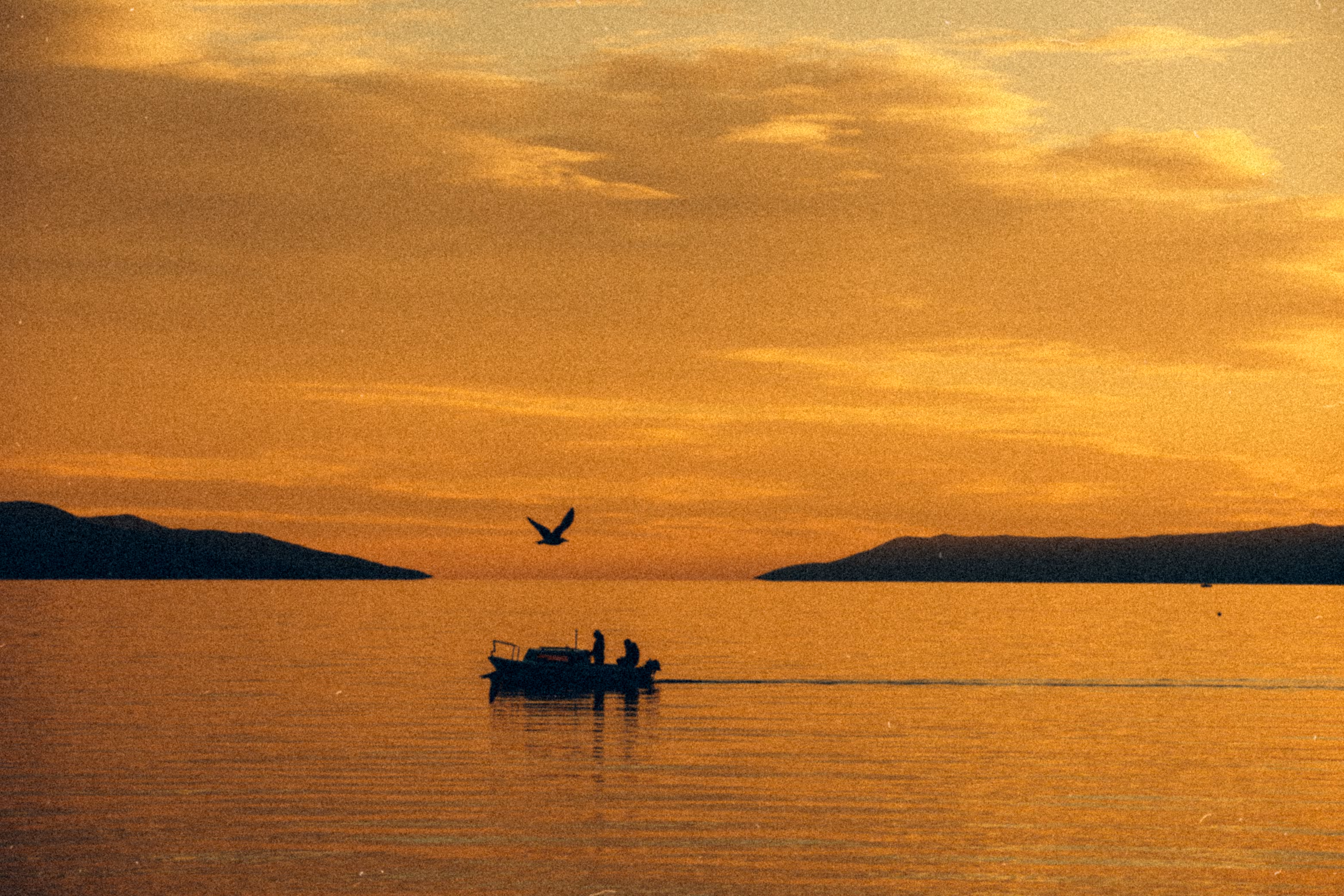 fisherman's guard