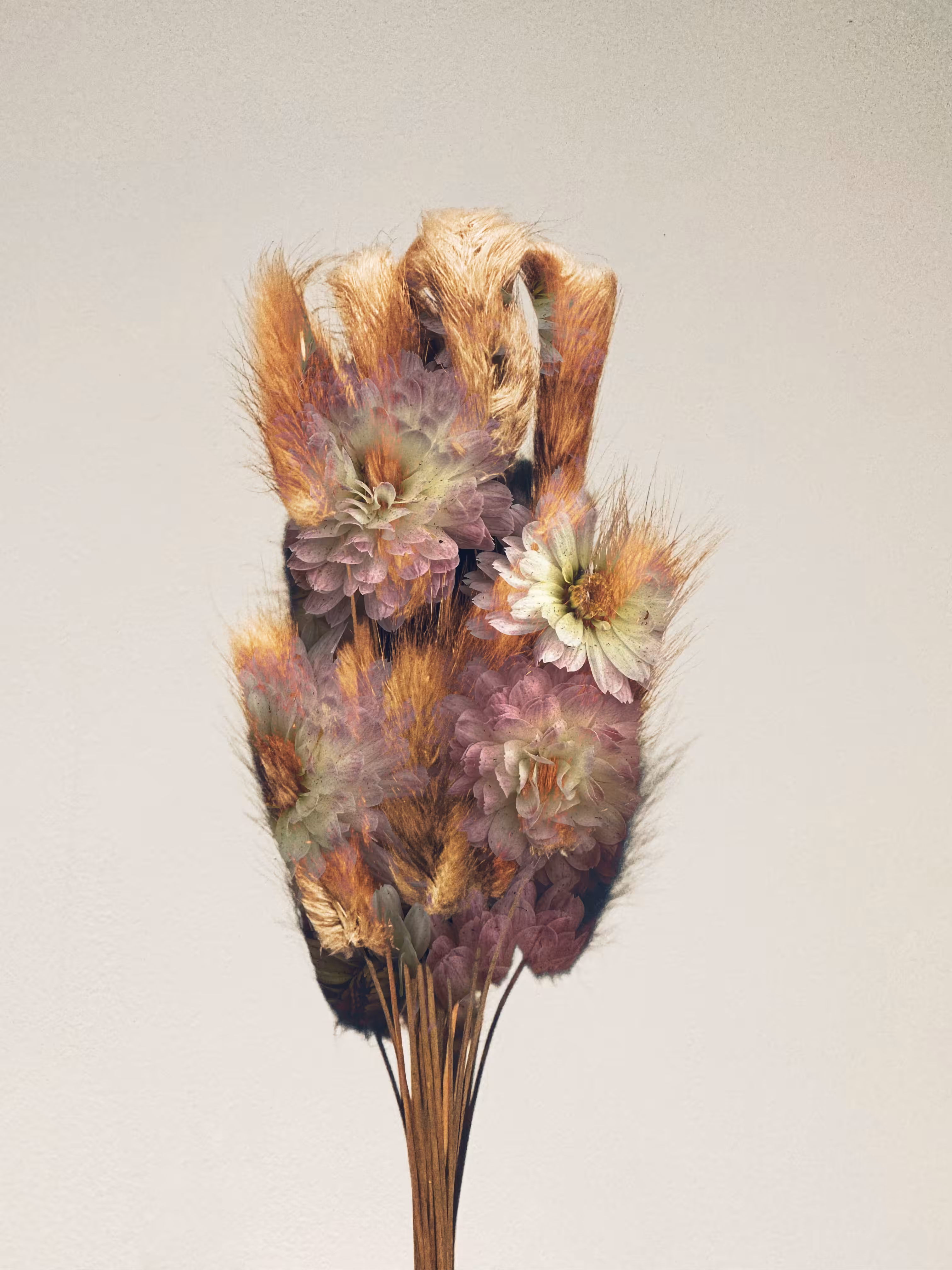 Beautiful Decay