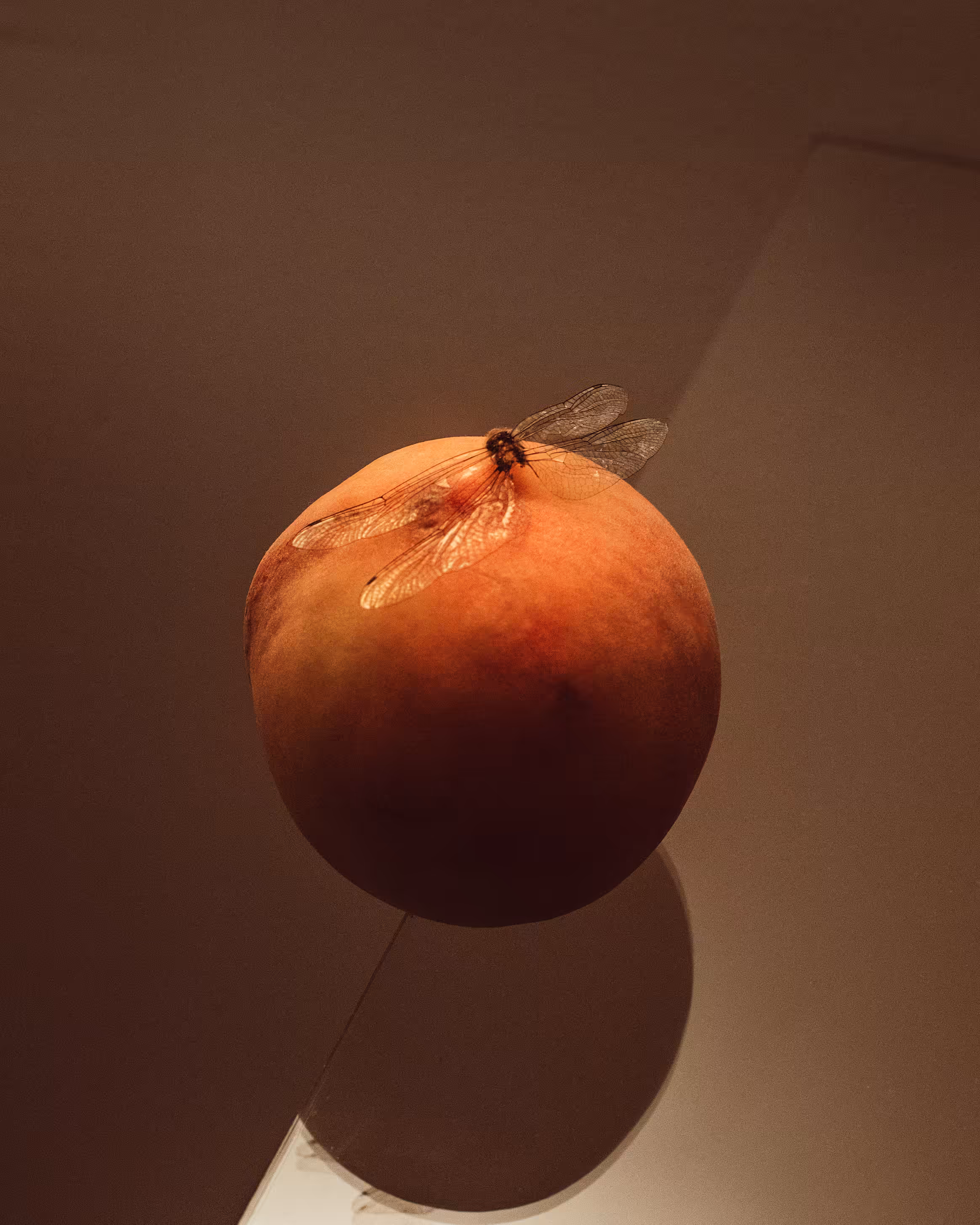 Still Life #3