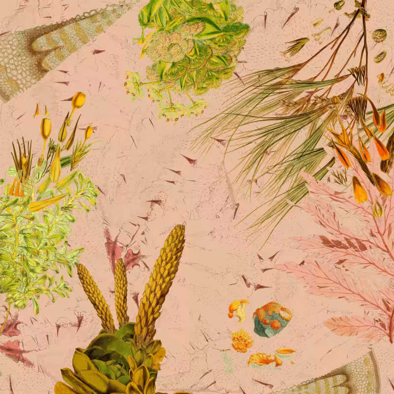 future flora from Antarctica's past #20