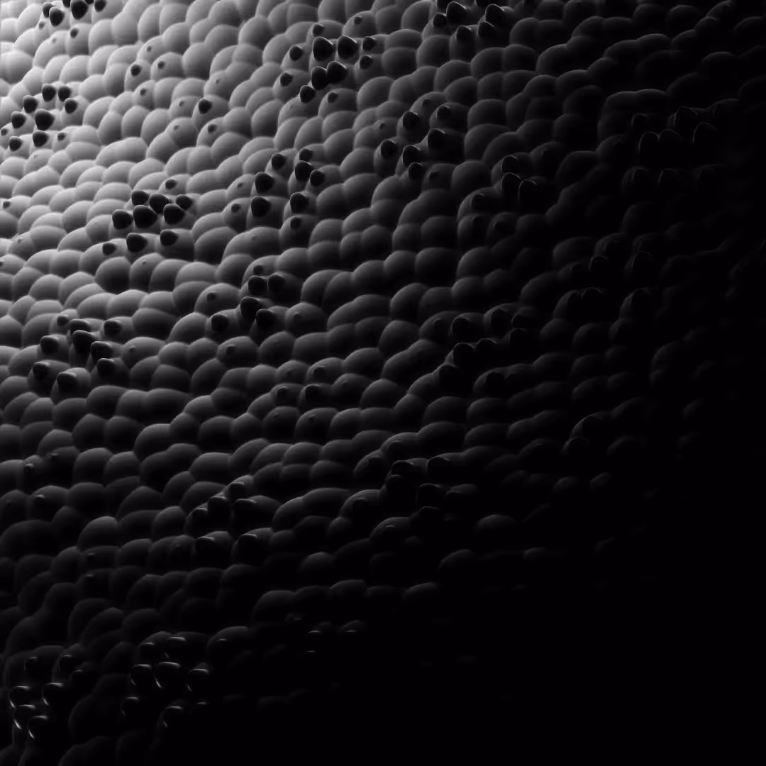 chromatophores