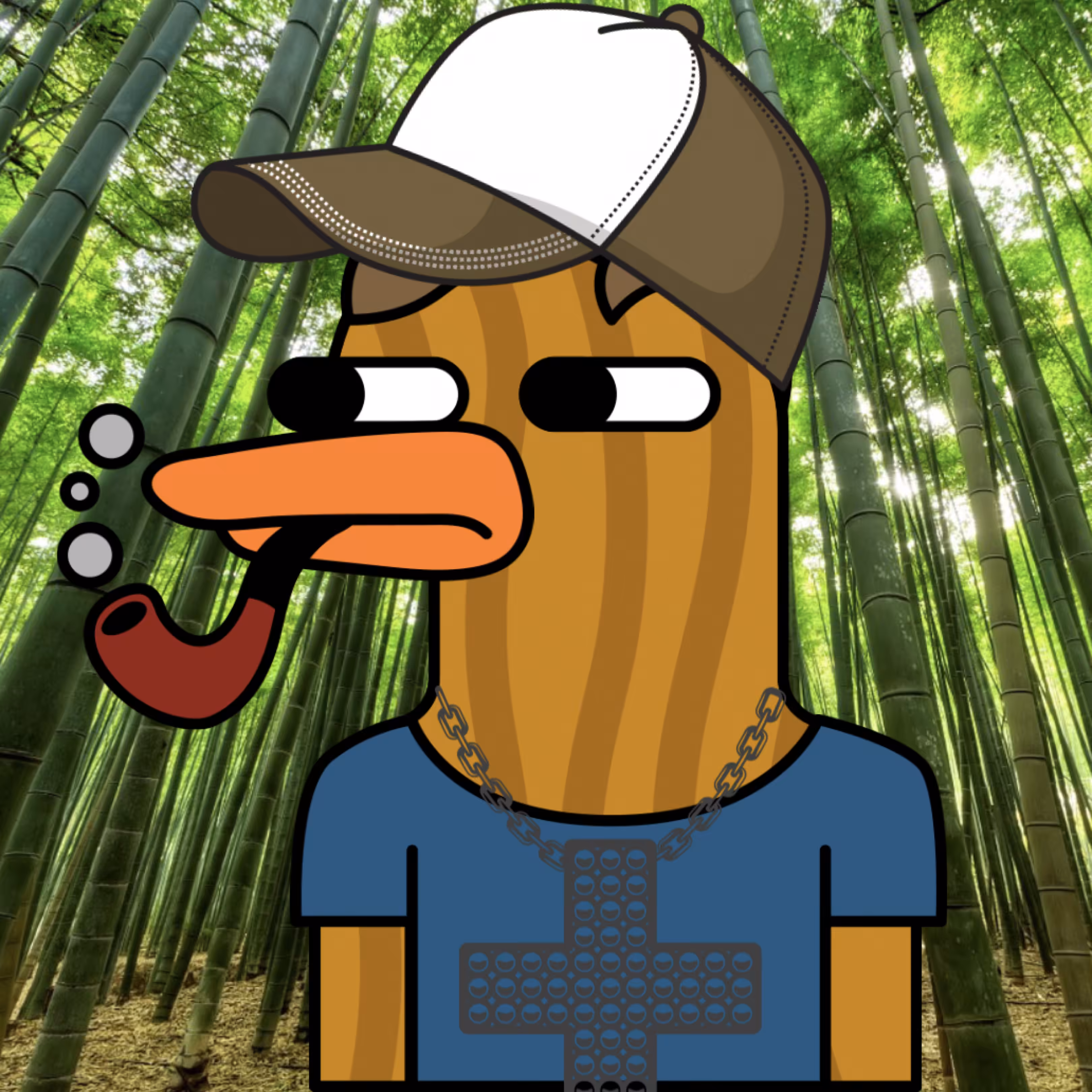 Bro Duck