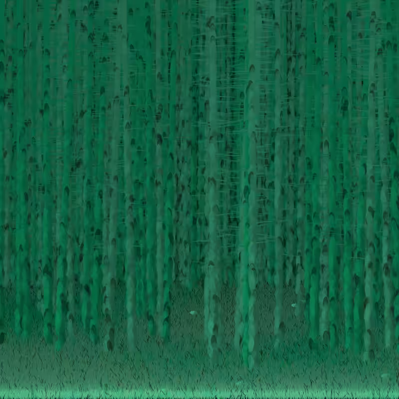 Berkenbos #6