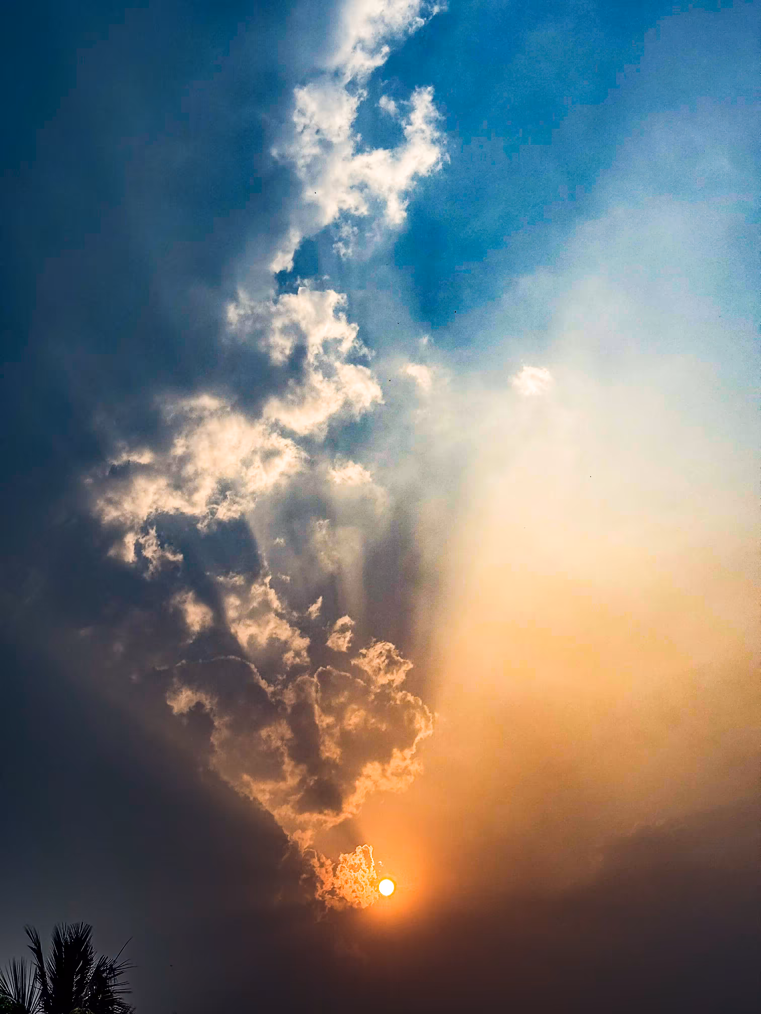 New Day