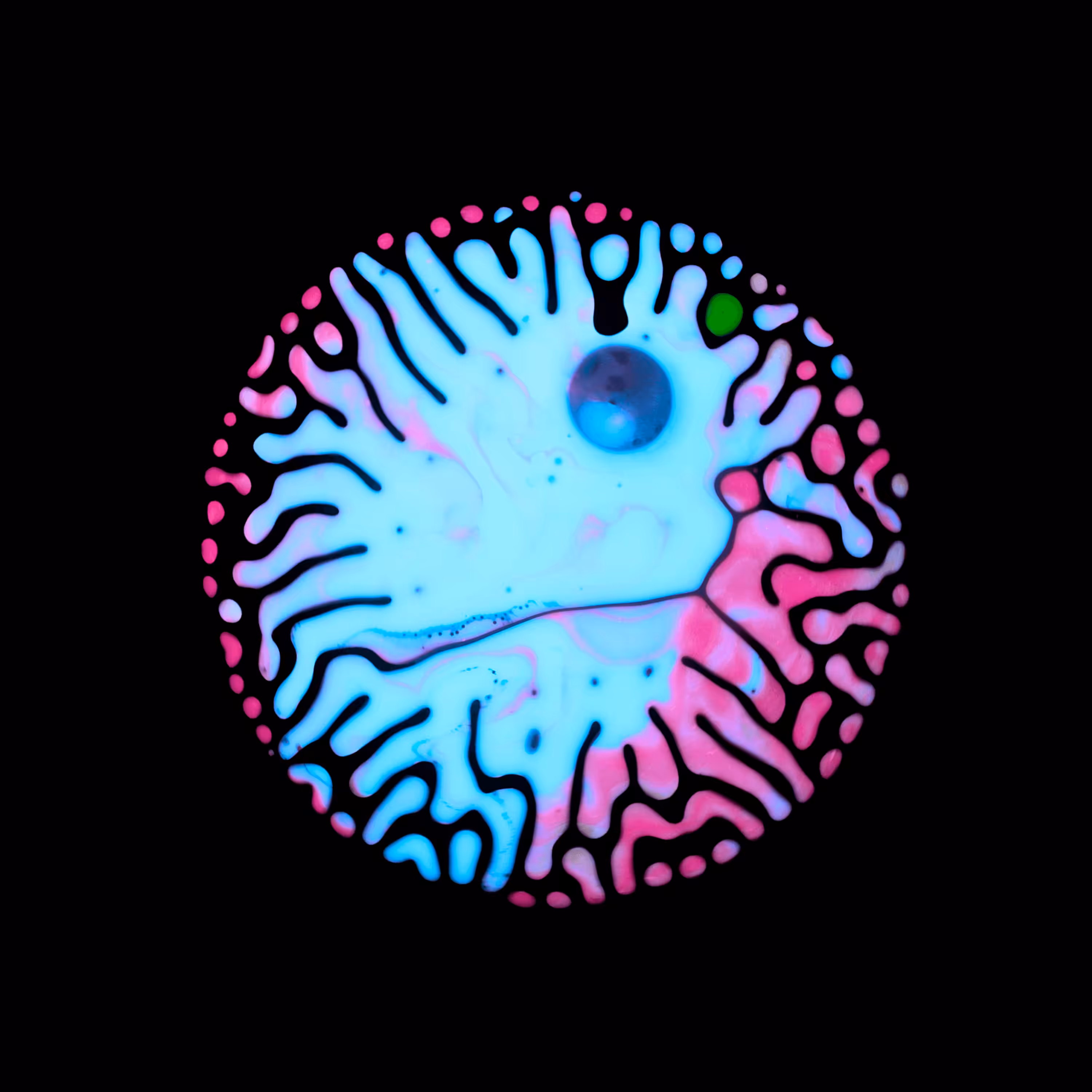 Haematopoiesis #88