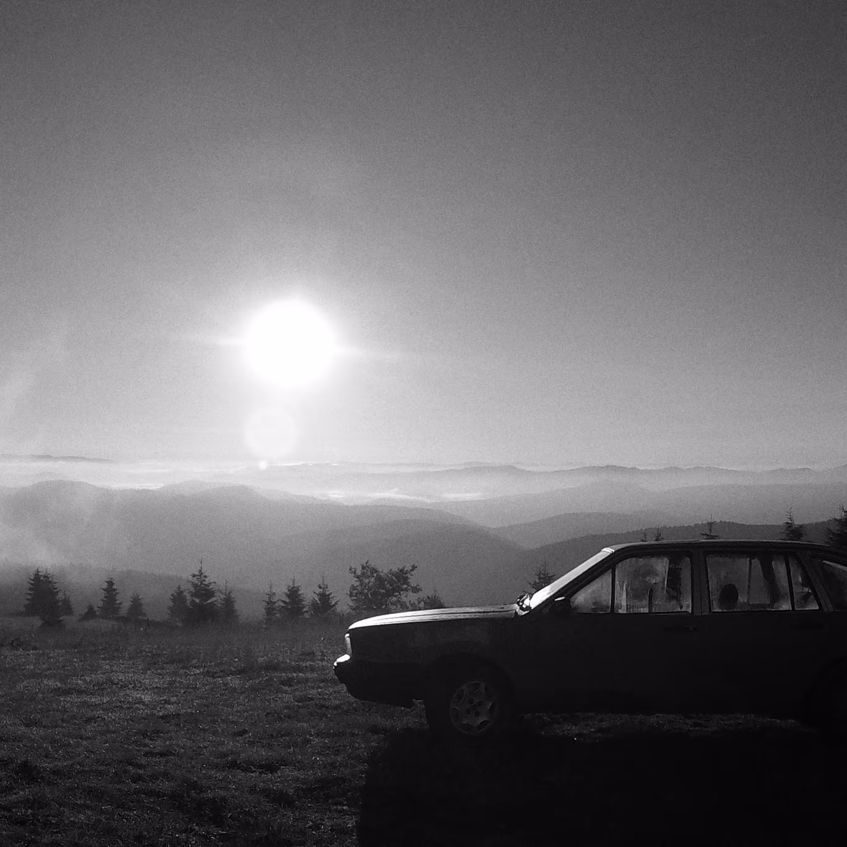 dawn