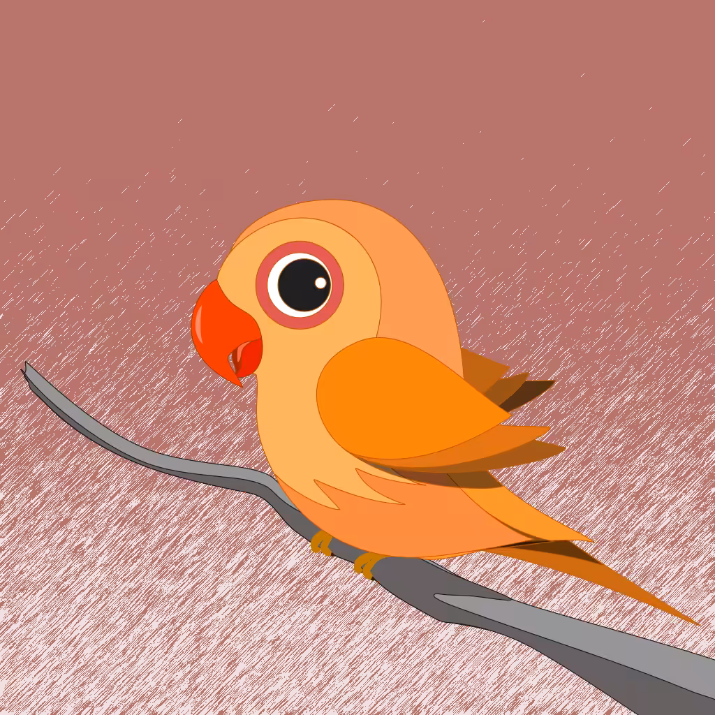 All season birdy #13