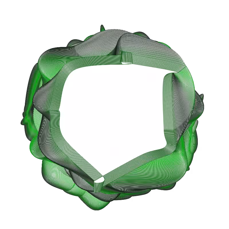 Entropy flower #7