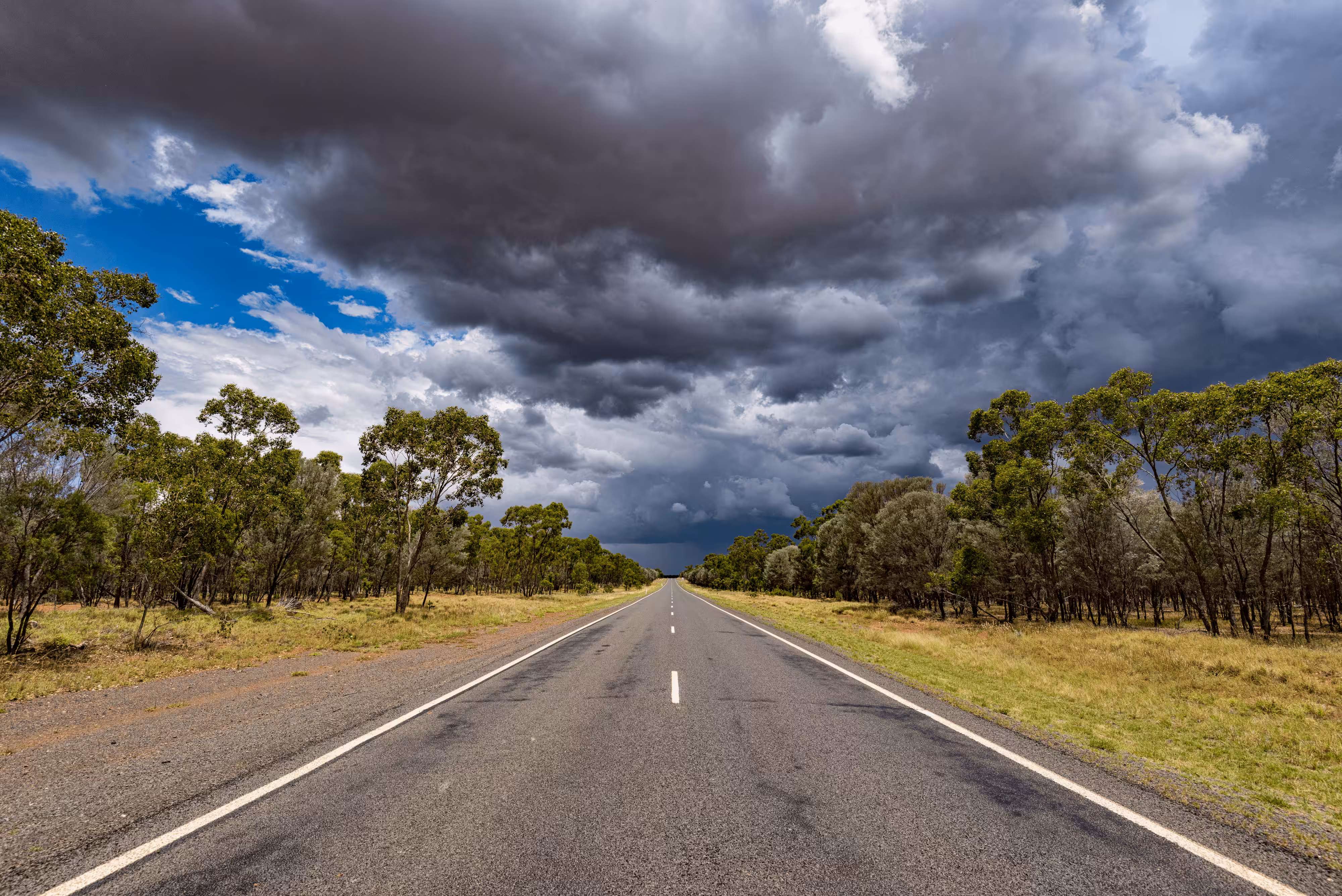 Into the Storm