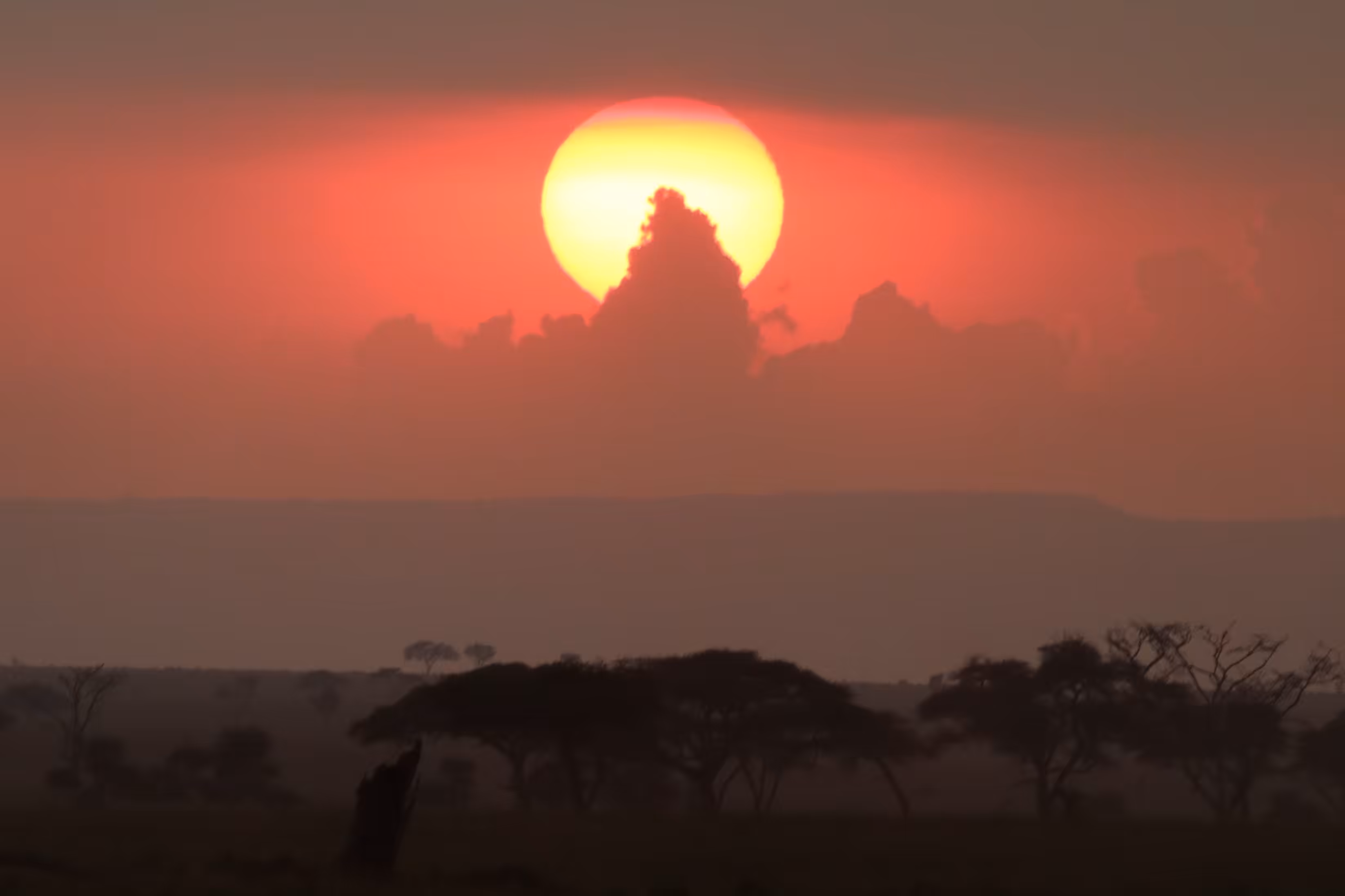 Tanzanian sunset