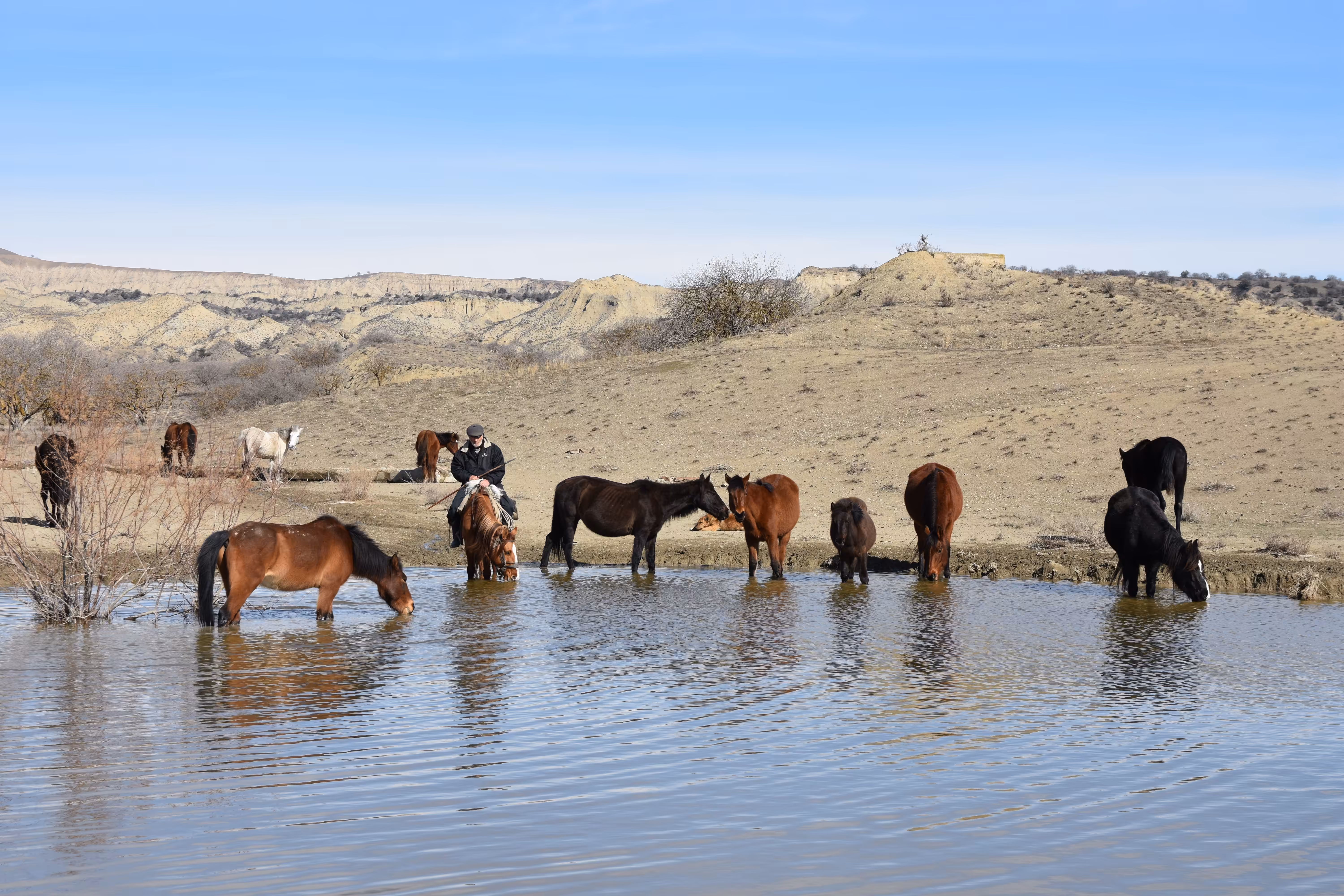 Watering horses near Kumro