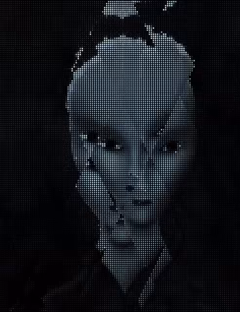 Visitor 3