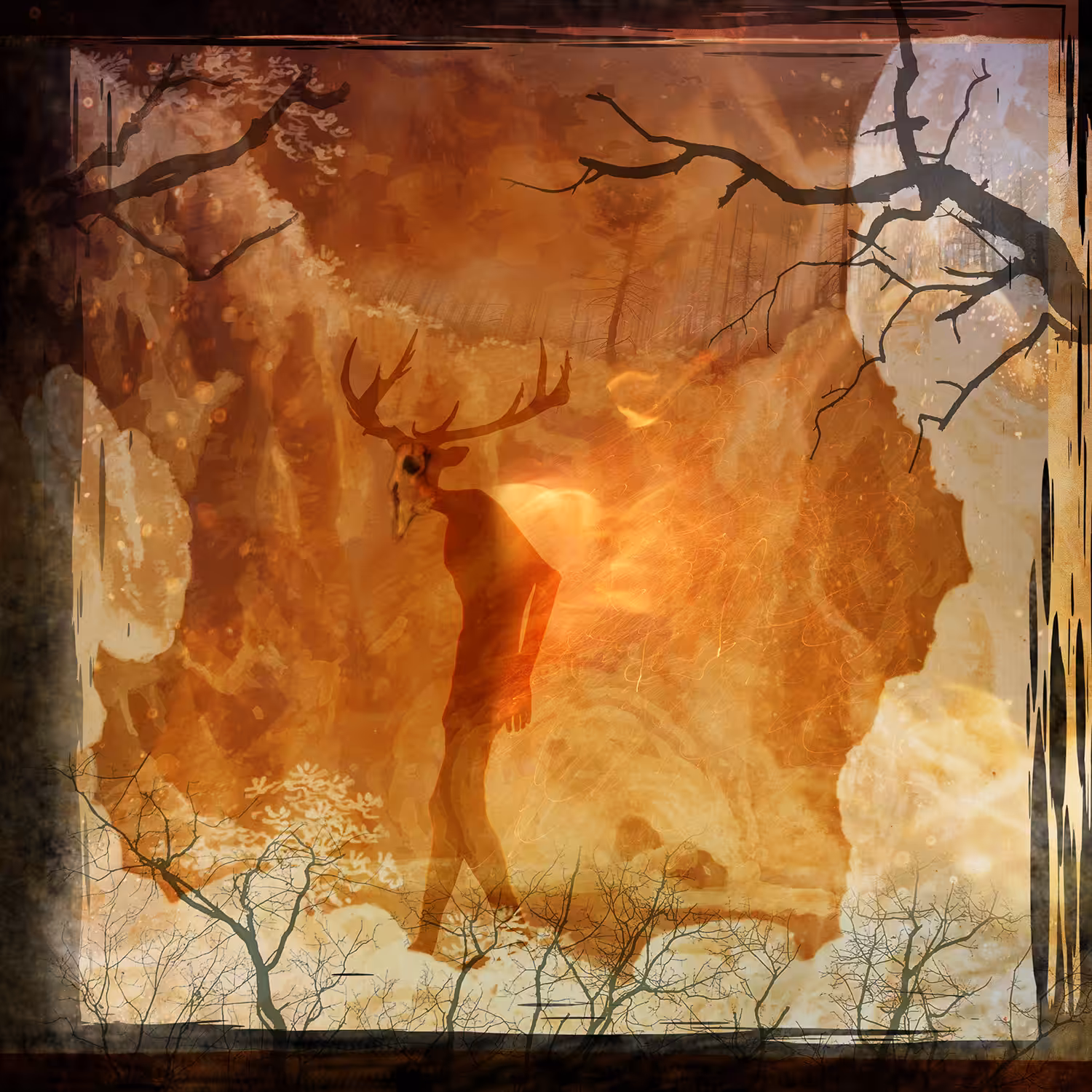 Wendigo Walks